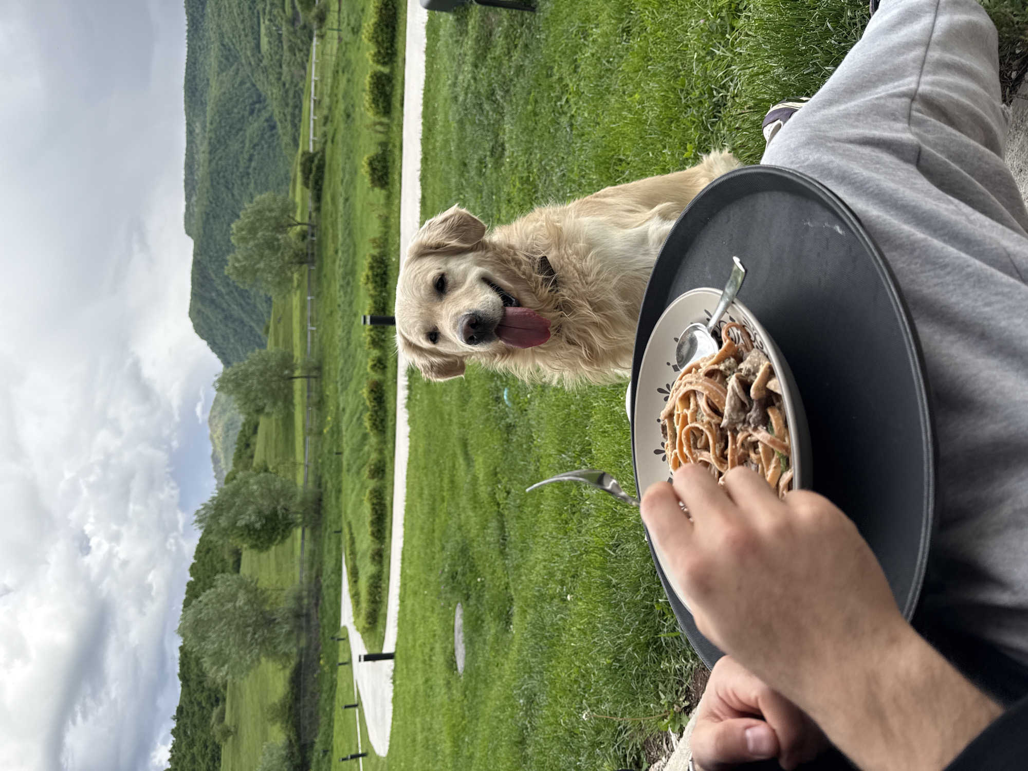 The image presents a person sitting outdoors, likely in a grassy area in Chkalov, Armenia, based on the mountainous landscape in the background. The individual is wearing grey sweatpants. A black serving tray rests on their lap, holding a patterned bowl of pasta with a sauce containing mushrooms. A fork is placed in the bowl. The person is holding the fork in their right hand and about to take a bite. A golden retriever dog, wearing a dark collar, stands to the left of the tray, appearing to watch the food with its tongue sticking out. The area is grassy, and a pathway is visible in the background along with some short trees and plants, as well as the distant mountain view.