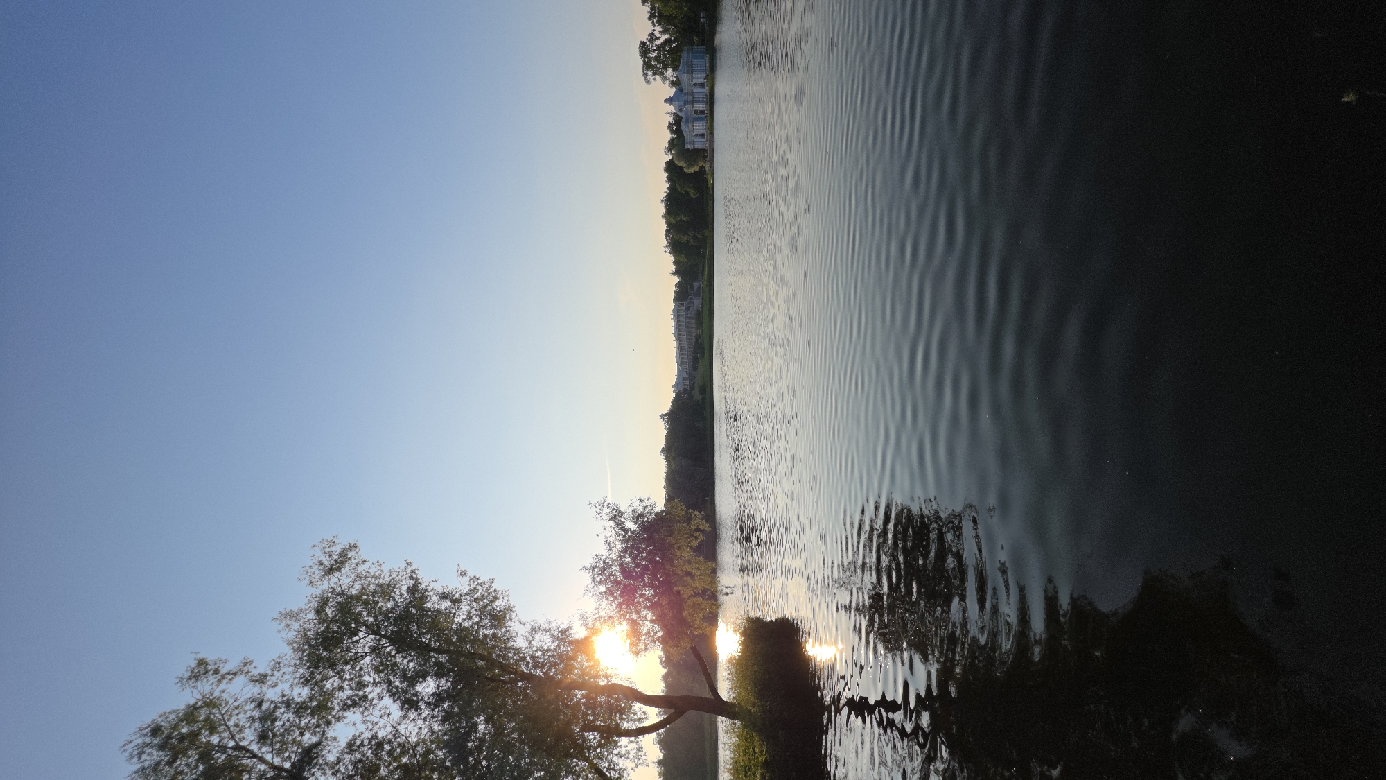 This is a vertical, full-shot photograph of a tranquil lake scene at sunset. The sun is low on the horizon, casting a warm glow across the sky and water. The sky is a gradient of clear blue at the top, fading to a pale yellow near the horizon.
The left side of the frame features a large tree with its branches reaching towards the sky, partially obscuring the setting sun. The sunlight filters through the leaves, creating bright highlights. Beyond the tree, a line of lush green trees forms the edge of the lake. Across the water, on the far bank, are several classical-style buildings with white facades and blue domes, suggesting a grand estate or park. The water itself is calm, with gentle ripples reflecting the light and the surrounding scenery. The right side of the image is dominated by the dark water, with the reflections becoming more abstract and elongated.
The overall mood is peaceful and serene, evoked by the soft lighting and the still water. The time of day is clearly sunset, indicated by the low sun and warm colors. The presence of the classical buildings and the manicured trees suggest a possibly European or historically significant park setting. There is no visible text in the image.