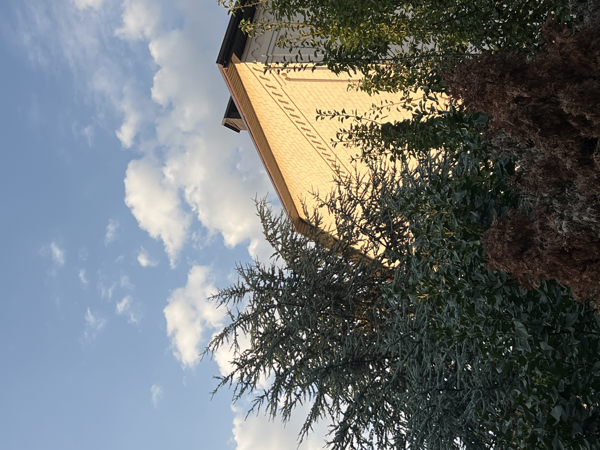 In Fontanka, Ukraine, an external view captures the upper portion of a building constructed of light-colored brick. The building features a dark-colored roof and a chimney. The brickwork exhibits a decorative pattern of small, diagonal indentations running in horizontal rows. The building is partially obscured by lush foliage from various trees and bushes. One prominent tree on the left has dark, needle-like leaves, while other trees display broader, green leaves. In the background, the sky is a clear blue with scattered white, fluffy clouds, illuminated by the warm glow of what appears to be sunset or sunrise.
