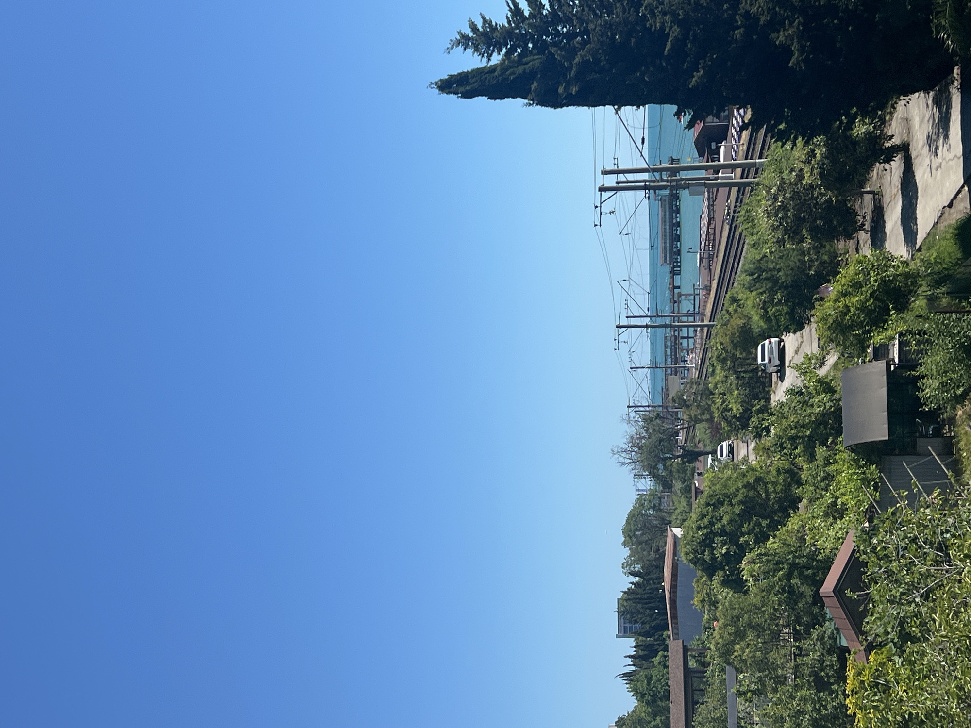 The image depicts a sun-drenched scene in Sochi, Russia, likely during daylight hours. The clear blue sky dominates the upper portion of the frame. Below, a vibrant landscape unfolds with lush green trees and foliage. In the mid-ground, a white car is visible on a road, partially obscured by trees. Further back, a railway track runs parallel to the coastline. Beyond the tracks, a body of turquoise water, presumably the Black Sea, is visible, with a pier extending into it. A tall, dark green coniferous tree stands prominently on the right side of the image, its silhouette stark against the bright sky. The scene suggests a coastal urban environment with residential and infrastructure elements integrated with nature.