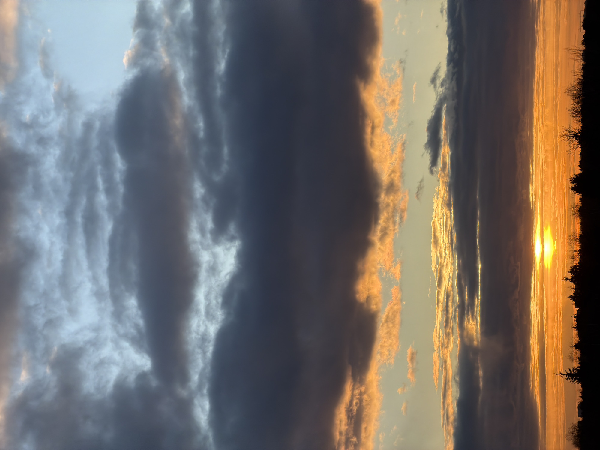 This vertically oriented image captures a dramatic sunset or sunrise sky. The scene is dominated by a vast expanse of clouds and sky, with a treeline silhouetted against the horizon.
At the top left of the frame, the sky is a light blue, transitioning into pale gray and white clouds with soft textures. Moving downwards, a wide, prominent band of dark, heavy gray clouds stretches across the middle of the image, showing shades of deep blue and dark grey. These clouds appear dense and voluminous, casting shadows and creating a sense of depth.
Below this dark cloud band, the sky transforms into a vibrant display of warm colors. Intense golden and orange hues illuminate the horizon, indicating the presence of the sun. Streaks of light and bright orange clouds are visible in this section, contrasting sharply with the darker clouds above. At the bottom right edge of the image, the brilliant, intense orb of the sun is visible, partially hidden by a dark, silhouetted treeline. The treeline forms a jagged, dark line against the bright sky, suggesting a landscape setting with distant trees or foliage.
The time of day is clearly sunset or sunrise, characterized by the low sun and the striking warm colors across the sky. The weather appears partly cloudy, with a mix of heavy, dark clouds and illuminated, lighter clouds. There are no people, visible objects other than the natural elements, or discernible text in the image. The overall impression is one of natural beauty and dramatic atmospheric conditions.