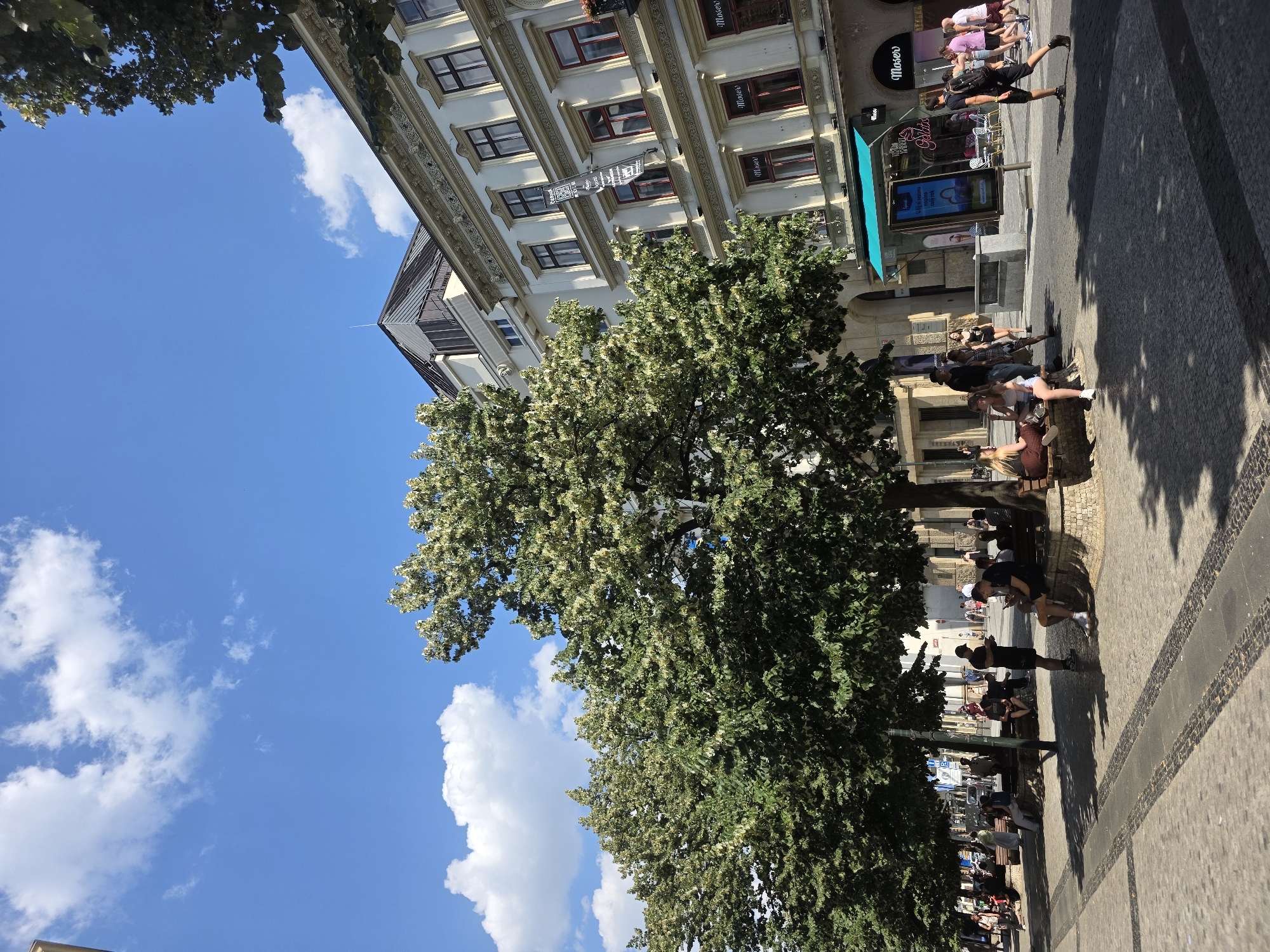 This media file shows a street scene on a sunny day. A large tree with green leaves and white blossoms dominates the foreground, casting shadows on the paved sidewalk. The sidewalk is lined with people sitting on benches and standing. In the background, there is a building with multiple windows and decorative architectural details. Signs are visible on the building, including one that says "Moser" and another with text in a foreign language. Some people appear to be walking along the street, while others are seated, possibly resting or socializing. The sky is blue with scattered white clouds, suggesting it is daytime. The overall atmosphere appears relaxed and leisurely. Some text is visible on shop signs and a poster. One sign reads "Moser". Another sign appears to say "Gelato". The scene is outdoors and appears to be a public area in a city.