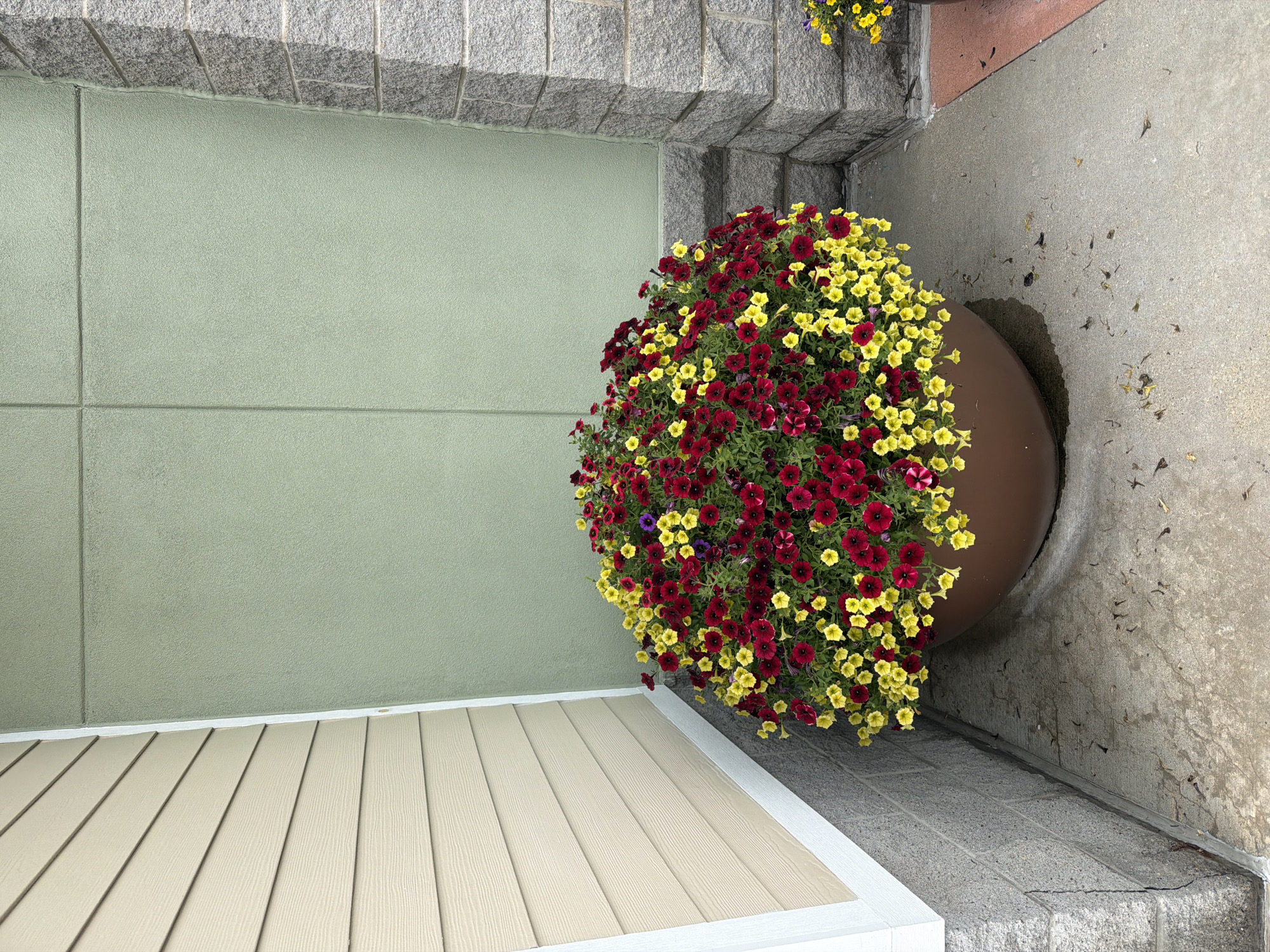 A large, brown, rounded planter is filled with a dense arrangement of red and yellow flowers. The planter sits on a concrete walkway in front of a building. To the left of the planter, the building has beige siding with horizontal lines. To the right of the planter, the building has a light green stucco wall and a section of gray stonework. The ground is a concrete walkway with scattered leaves and debris. The scene appears to be outdoors, possibly in a residential or commercial area in South Strabane Township, United States of America.