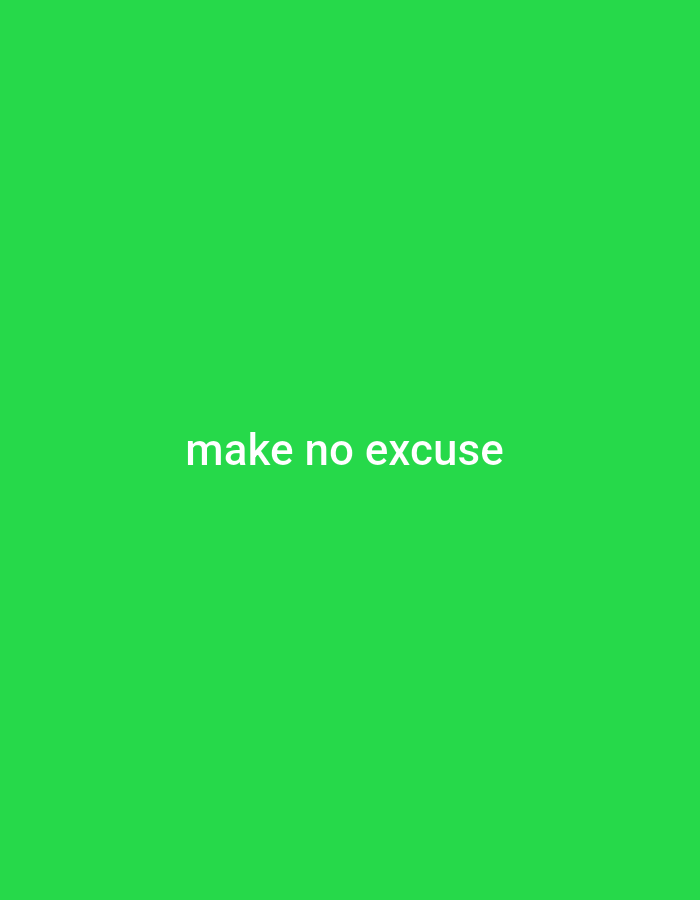 The image is a plain, vibrant green background with white text centered in the middle. The text reads "make no excuse". There are no people, objects, actions, interactions, or environmental elements present in the image that would indicate a location in Gboko, Nigeria or any other specific location.