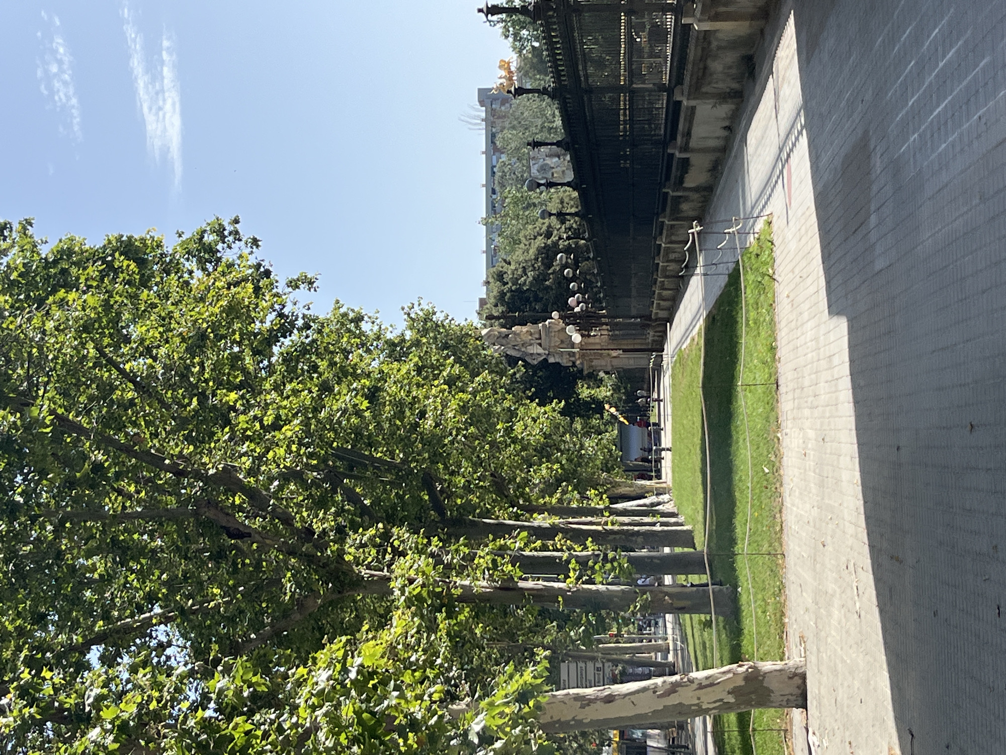The image depicts a street scene in Barcelona, Spain, likely in the vicinity of Parc de la Ciutadella. A row of large, mature plane trees with light-colored bark lines a paved walkway. Beyond the trees, a neatly manicured grassy area is delineated by a low rope barrier. To the right, a decorative black metal fence with ornate finials runs along a stone wall. Behind the fence, architectural elements are visible, including a statue on the left and a gilded chariot sculpture further to the right, suggesting a historical or monumental area. In the background, a multi-story building with numerous windows is visible, partially obscured by trees. The sky is clear and blue with a few wispy clouds. The pavement in the foreground is made of light-colored rectangular pavers, and shadows are cast by the trees and a railing. A few people are present in the distance, walking along the path behind the fence.