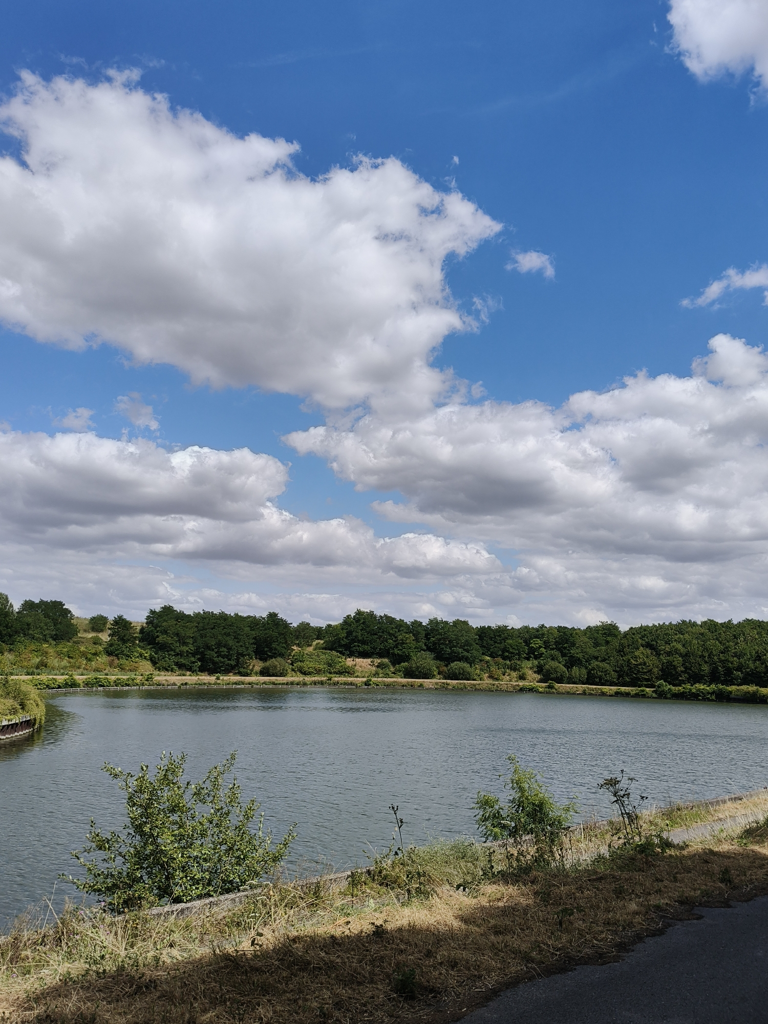 The image shows a large body of water, likely a lake or reservoir, in Dourges, France. The water is calm and reflects the blue sky with scattered white clouds. The shoreline is lined with green vegetation and trees, forming a dense forest in the background. A paved path runs along the edge of the water, with dry grass and some smaller plants in the foreground. The overall impression is of a serene and natural landscape within the city. There are no people visible in the image.