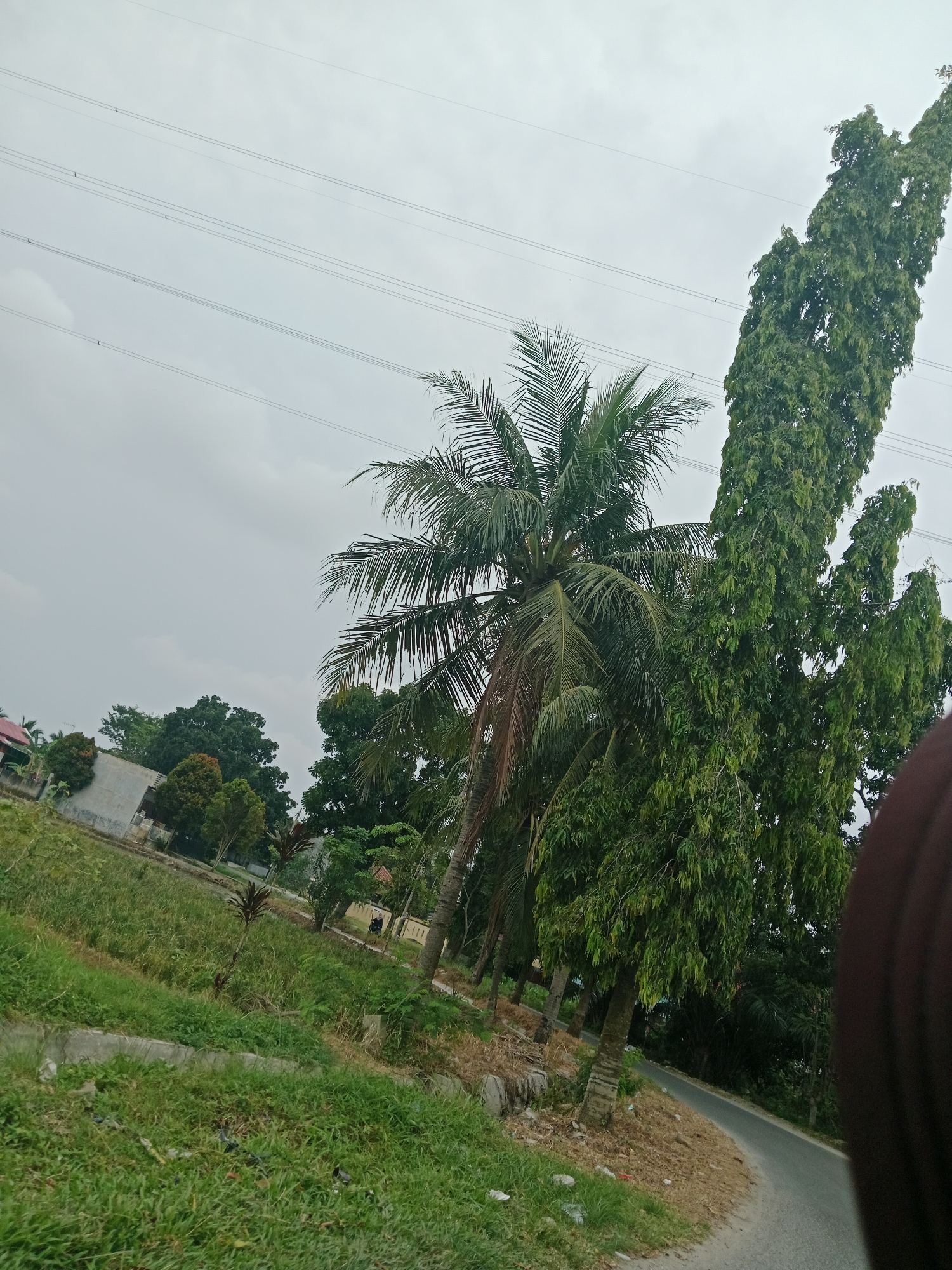 The image depicts an outdoor scene with a cloudy sky, a road, vegetation, and a building. In the foreground, to the right, a dark brown fabric, possibly part of clothing, obscures a portion of the image. A paved road curves from the bottom right towards the center of the image. Adjacent to the road, on the left, is a grassy embankment with some scattered debris. Beyond the embankment, there is a field of green grass and low-lying plants, with a concrete structure visible. Further back, several trees are present, including a prominent coconut palm and a tall, slender tree with dense green foliage. A building with a light-colored facade and a red roof is situated amidst the greenery. In the background, multiple parallel power lines are strung across the sky. The overall impression is a rural or semi-rural setting. The scene appears to be located in the City of Binjai, Indonesia, given the context. There are no people visible in the image, and no apparent actions or interactions are taking place.