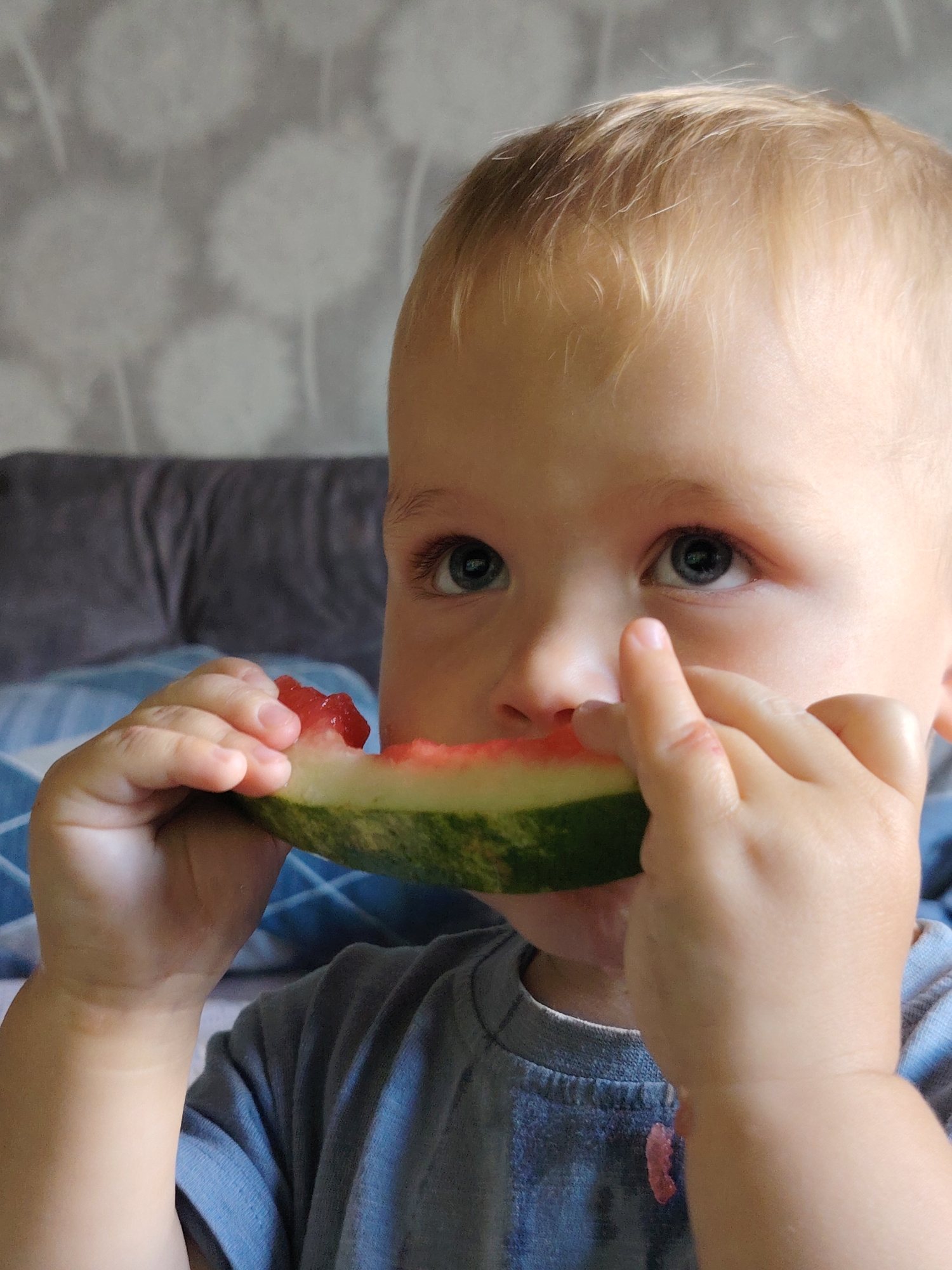 A close-up, eye-level, medium shot shows a young, blonde-haired child with blue eyes holding a slice of watermelon to their mouth with both hands. The child is wearing a light blue t-shirt with a darker blue collar and has a piece of watermelon juice on their shirt. The background consists of a grey wall with a white dandelion-like pattern and a blurred out dark grey sofa and blue bedding. This image was taken in Chaikovsky, Russia.