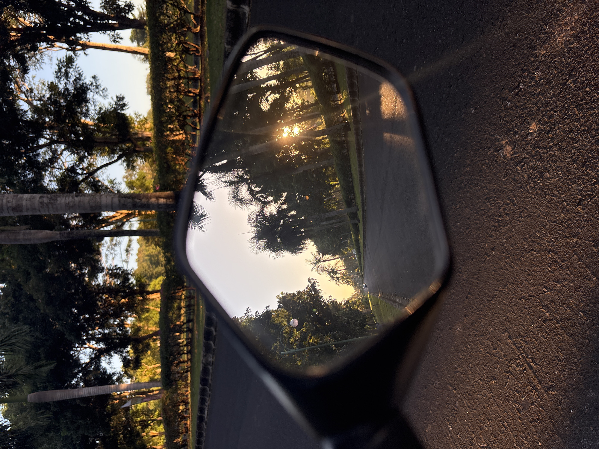 The image shows a motorcycle side mirror reflecting a park in Kuta Selatan, Indonesia. The mirror reflects a view of palm trees and other trees lining a road, with the sun shining through the trees. The foreground shows asphalt.