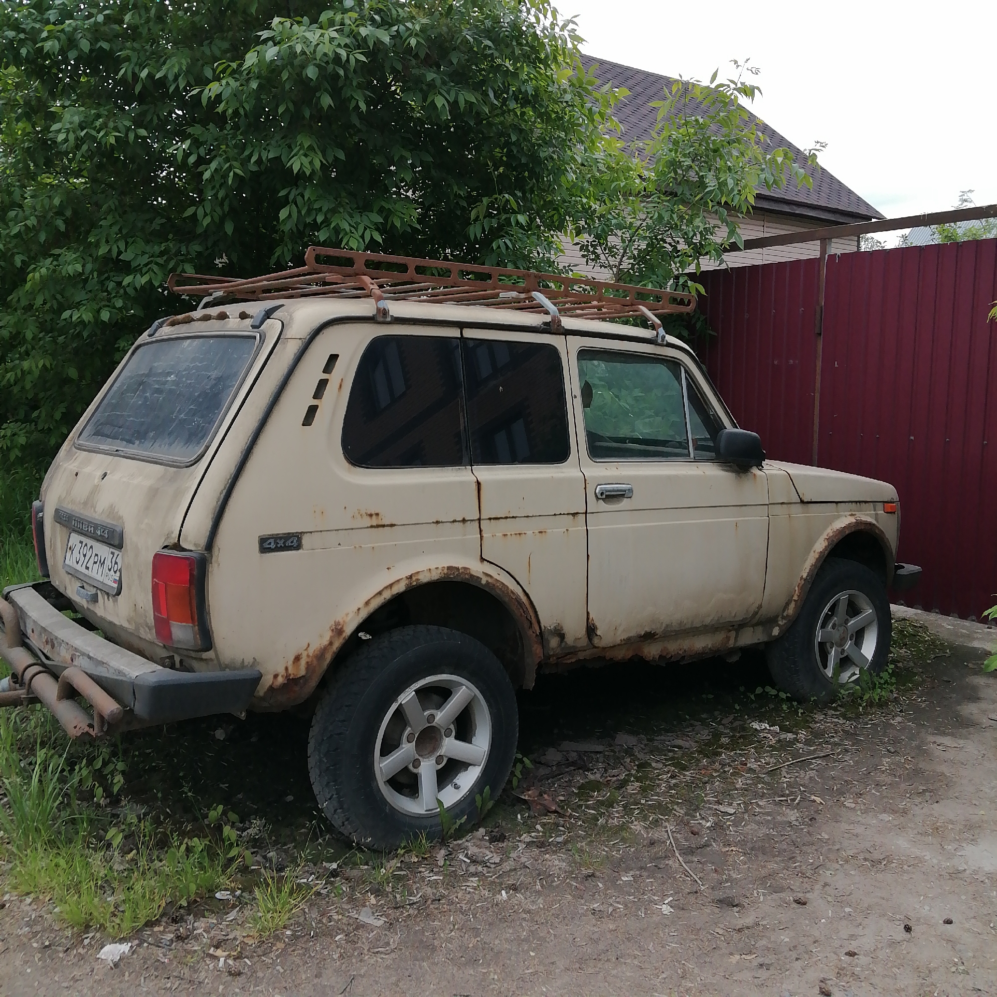 An old, cream-colored Lada Niva 4x4 SUV is the central subject of the image, parked outdoors. The vehicle appears to be in a state of disrepair, covered in dirt and significant rust, particularly visible around the wheel arches, door sills, and side panels. It features a heavily rusted, utilitarian roof rack on top. The paint is faded and stained.
On the rear of the car, a Russian license plate is visible, displaying "K 392 PM 36" with "RUS" written below the numbers. The text "NIVA 4x4" is also present on the tailgate, and "4x4" is embossed on the side of the car. The rear bumper is a simple, dark grey design with what appears to be a dual exhaust or tow hitch attachment underneath. The tires are large and off-road oriented, and the wheels are silver-colored five-spoke alloys, also showing some wear.
The car is situated on an unpaved surface consisting of dirt and gravel, with patches of green grass and weeds growing around and underneath it. In the background, lush green trees and bushes fill the left and top portions of the frame, indicating an outdoor, possibly rural or suburban setting. To the right, a reddish-brown corrugated metal fence stands tall, partially obscuring a building with a dark shingled roof visible above it. The sky is overcast and bright, suggesting daytime. No people or specific activities are depicted, giving the impression of a static, possibly abandoned or temporarily parked vehicle.
