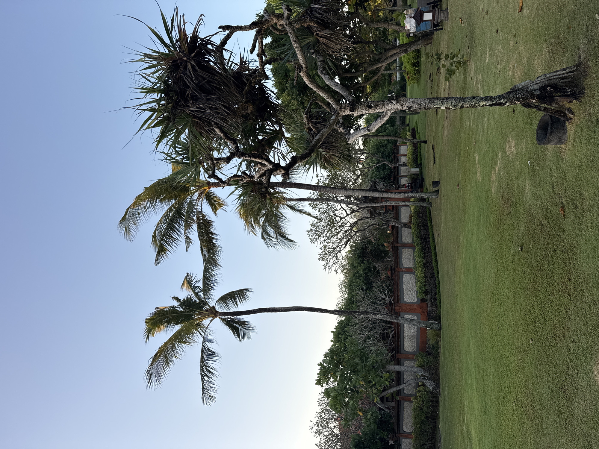 An outdoor scene in Kuta Selatan, Indonesia, features a lush green lawn in the foreground, bordered by a low stone and terracotta wall. Several palm trees and other tropical foliage are visible behind the wall, with a clear, pale blue sky overhead. In the middle ground, a path winds through the landscape, and a blue cart with white bags sits on the right side of the image. The overall impression is one of a serene, well-maintained park or resort area.