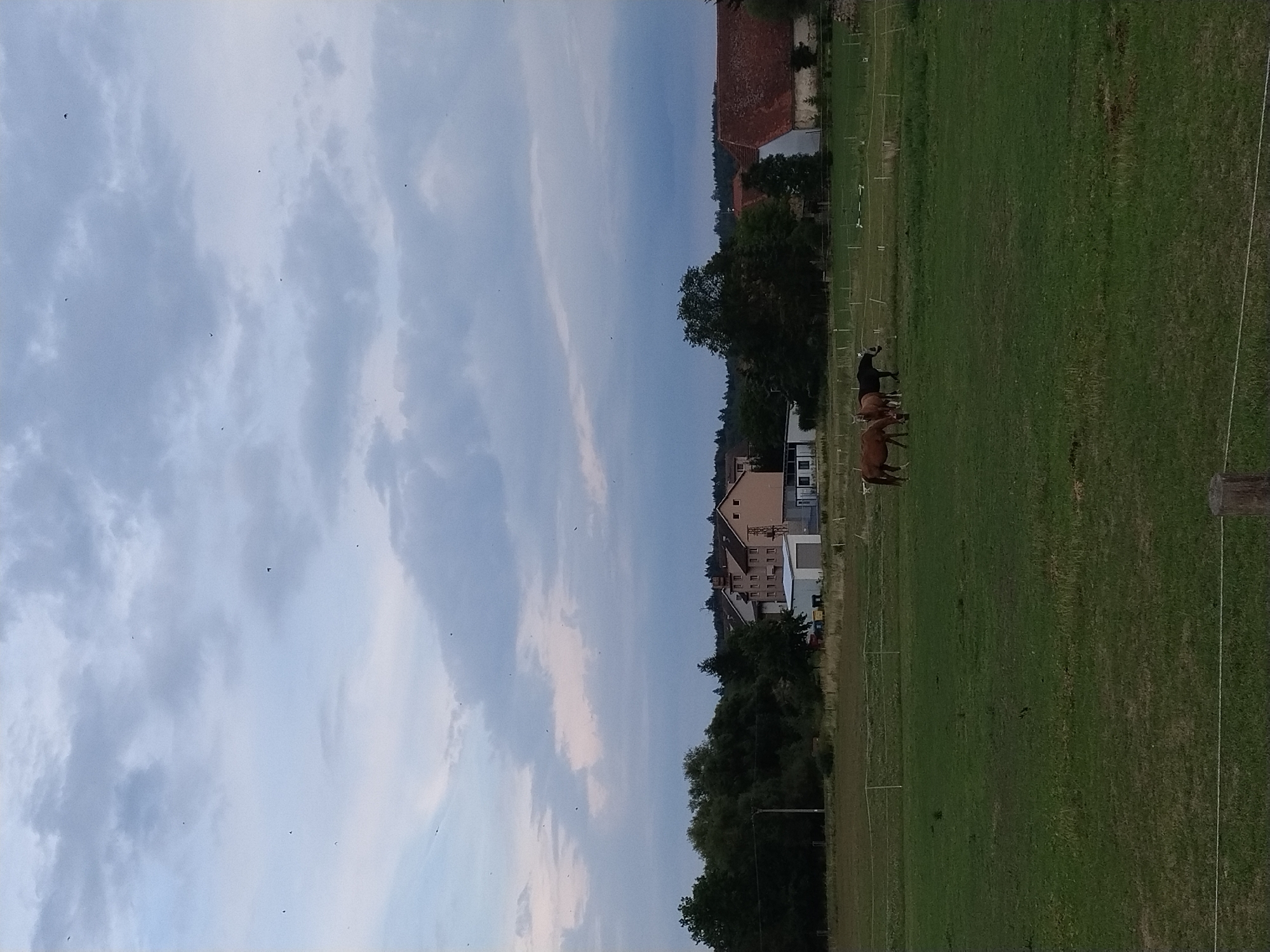 This is a vertical, medium-range shot of a rural landscape near Dobev, Czechia, under a cloudy sky at dusk. In the foreground, a green pasture is bordered by a wire fence. Three horses are grazing in the pasture: two brown horses standing side-by-side and a black horse standing slightly behind them. In the middle ground, there are several buildings, including a light-colored, multi-story structure with multiple windows and a red-tiled roof on the right side of the frame. Trees are visible behind the pasture and between the buildings. The sky is filled with scattered clouds, with a few small dark objects that could be birds or insects visible. The overall scene is serene and tranquil.