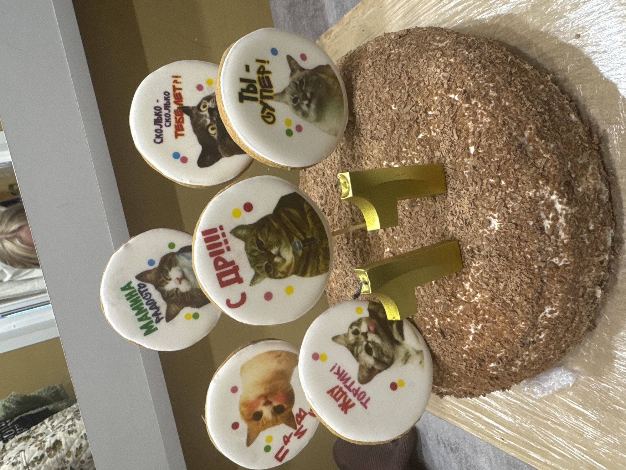 An overhead photograph captures a birthday cake and a collection of decorated cookies arranged on a table in what appears to be an indoor setting in Chaikovsky, Russia. The central item is a large, round cake generously covered with dark brown shavings, likely chocolate or coconut. Two golden candles, shaped as the number "1," are inserted into the cake, indicating an 11th birthday celebration. The cake is placed on clear plastic wrap.
Six round cookies surround the cake, each adorned with a unique image of a cat and celebratory messages in Russian. The cookies have a white icing base with colorful confetti-like dots. The visible Russian text on the cookies translates to: "Mom's joy," "Waiting for the cake!," "Happy B-day!!!!," "How old - How old are you?!," and "You are SUPER!" The overall presentation suggests a playful and affectionate birthday event, likely for someone who appreciates cats. A person with blond hair is partially visible in the blurred background on the left side of the image.