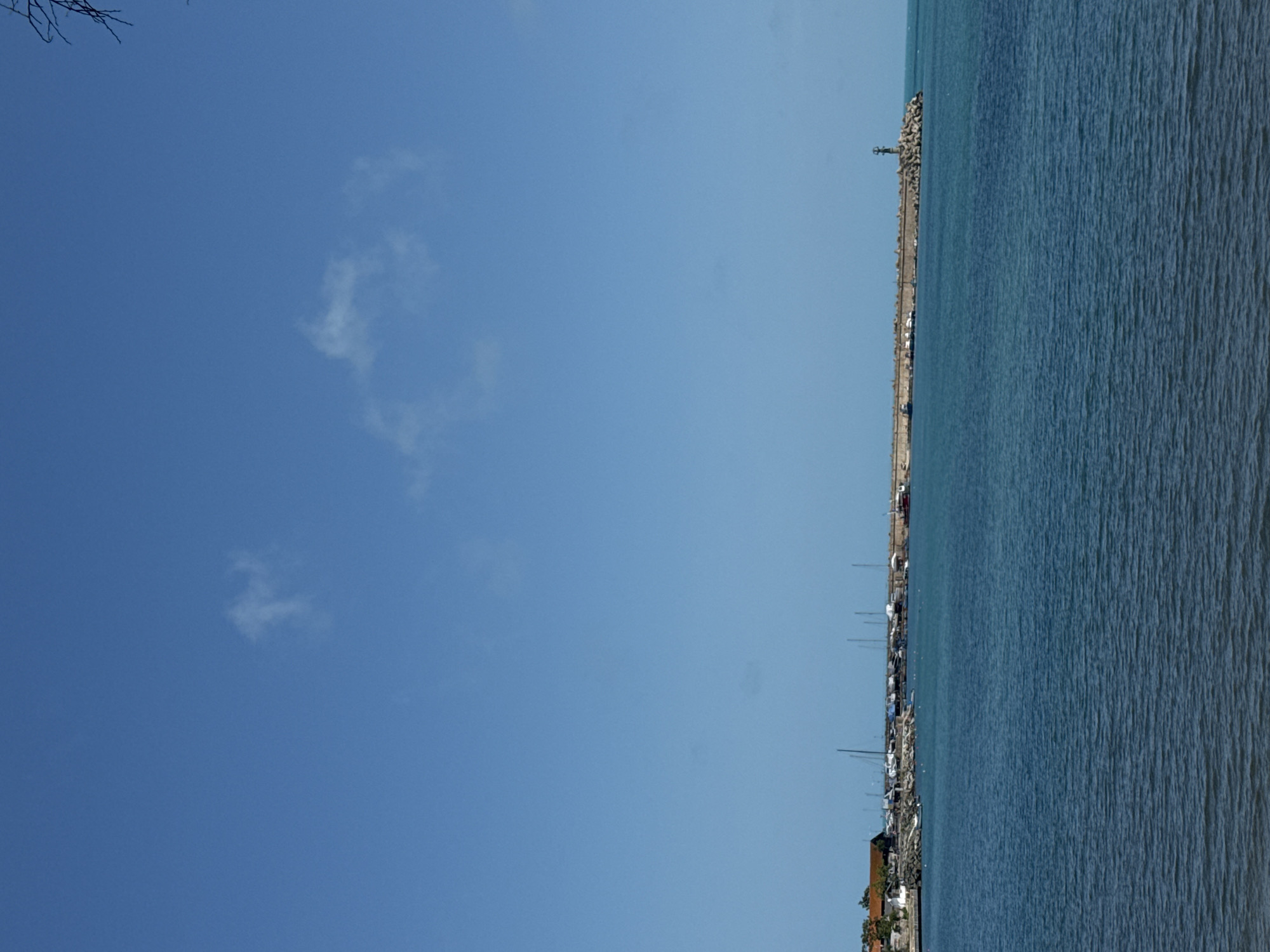 The image shows a harbor scene in Tsarevo, Bulgaria. The blue sea occupies the right side, with visible wave patterns. A long, stone breakwater stretches along the coast, topped by a lighthouse at its end. The breakwater is lined with parked cars and people, indicating a public space. Along the coastline, boats are docked, and buildings are clustered at the base of the breakwater. The left side of the image is dominated by a clear, blue sky with a few wispy clouds. A tree branch is visible in the upper left corner.