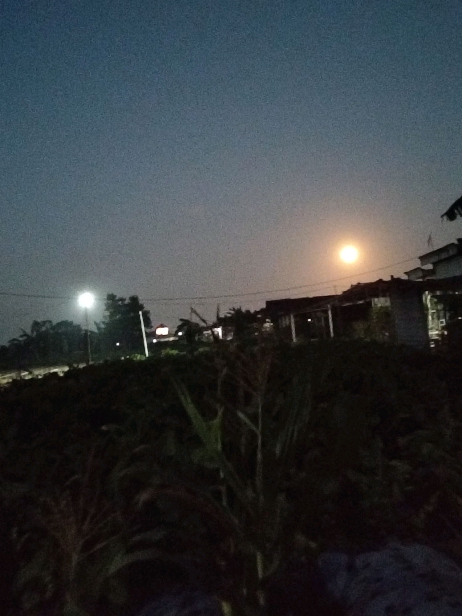 This is a nighttime photograph taken in Gempolan, Indonesia. The scene depicts a rural or semi-rural environment with a prominent, bright full moon in the sky, casting a soft glow. In the foreground, there is dense vegetation, possibly crops or foliage, which appears dark and somewhat obscured by the low light conditions. Beyond the vegetation, there are buildings, including what appears to be a house or structure with a roof and visible walls. A street light is also visible on the left side of the image, illuminating a portion of the area. The overall atmosphere is tranquil and serene, characteristic of a moonlit night in a less urbanized setting.