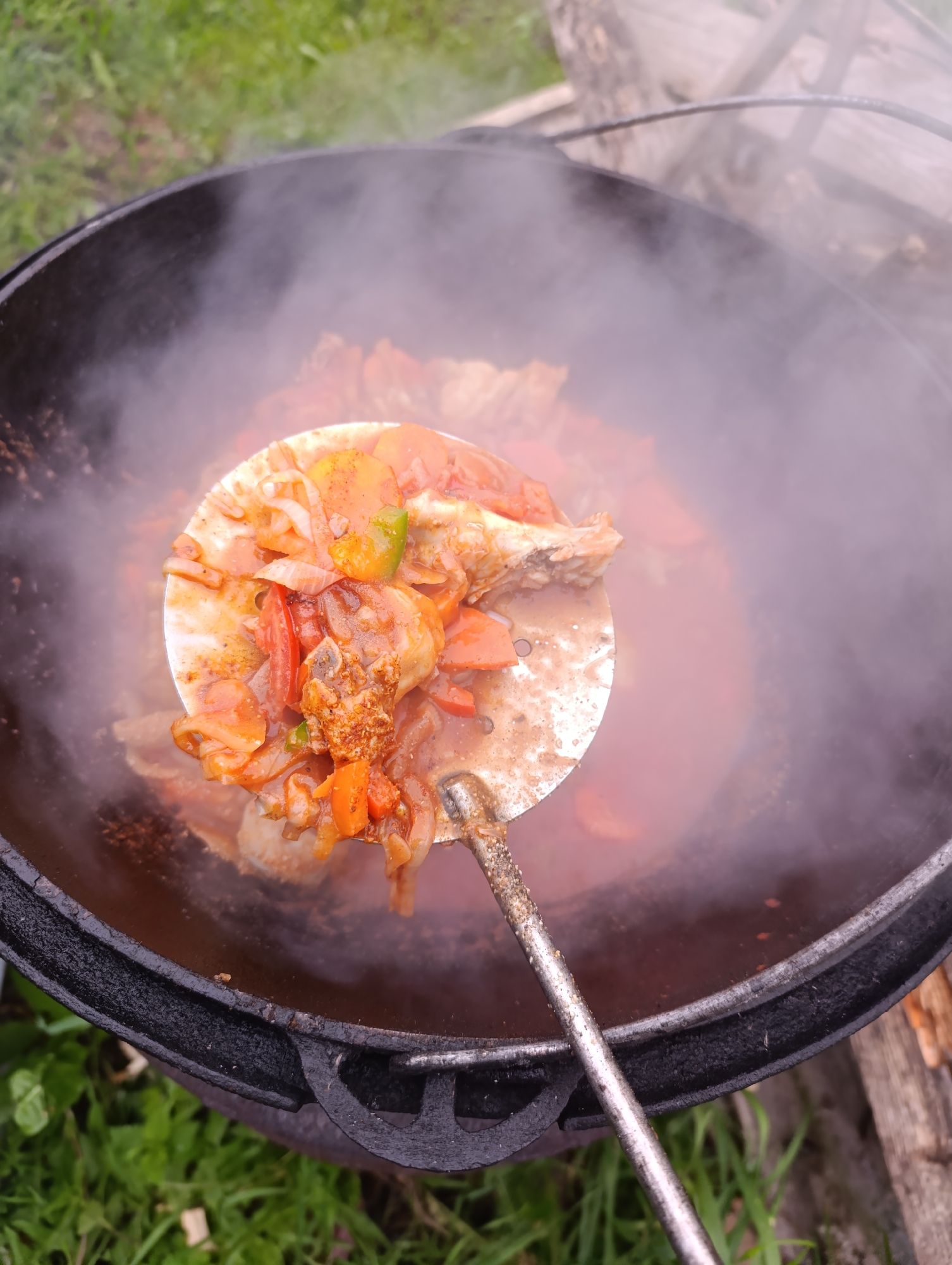 A large, black cast-iron pot filled with a stew is being cooked outdoors, with steam rising from it. A metal ladle, with some of the stew on it, is held over the pot. The stew contains chunks of meat, sliced carrots, onions, and tomatoes. The pot is resting on a fire pit or a tripod, and the background shows green grass and some wood. The image is taken from a high angle, looking down into the pot. The location is Unknown, Unknown.