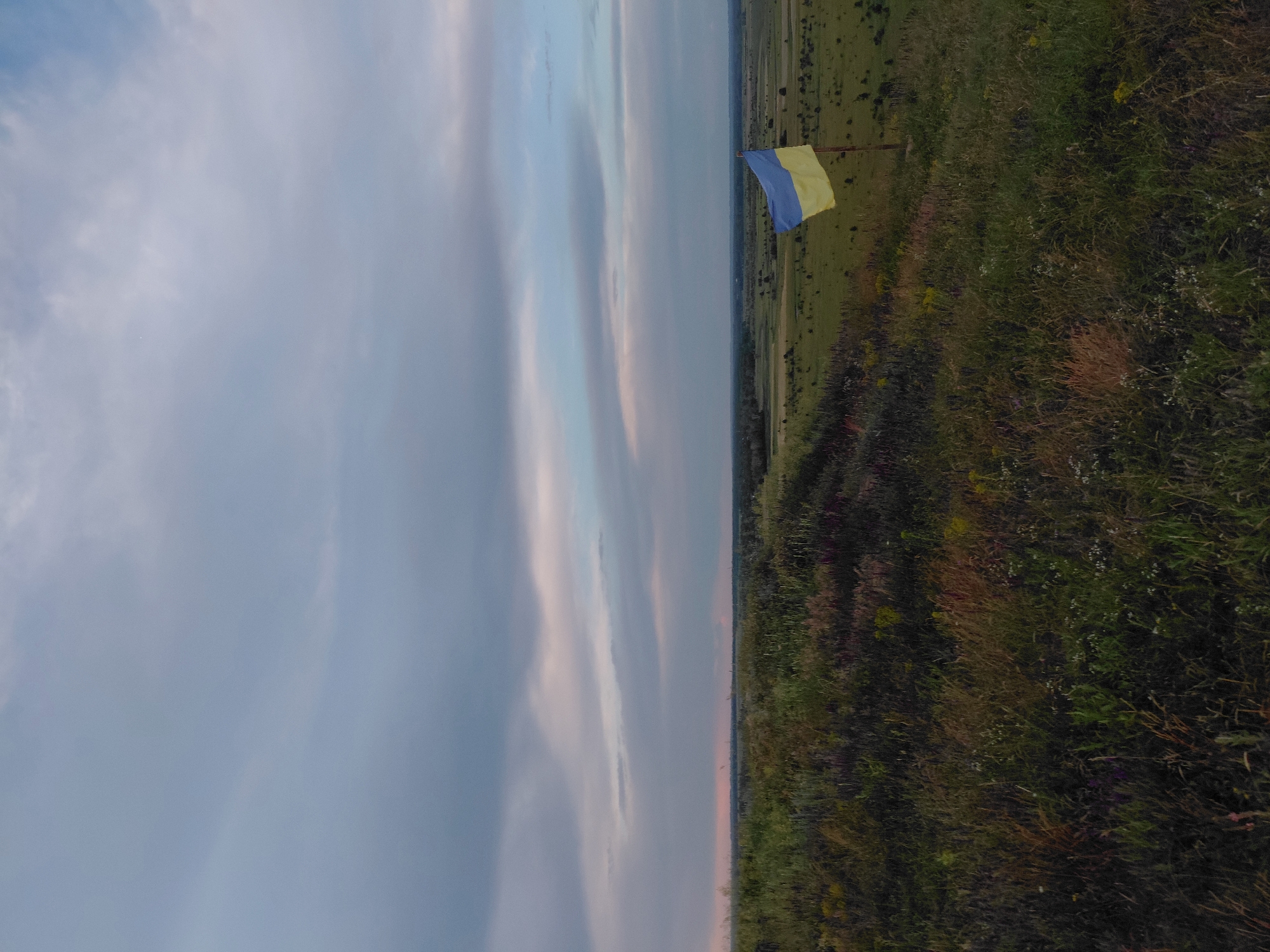 A Ukrainian flag flies on a pole on a grassy hill overlooking a vast, rolling landscape under a cloudy sky. The foreground is dominated by dense, wild grasses and wildflowers in various shades of green, brown, and purple. The Ukrainian flag, with its horizontal bands of blue and yellow, is positioned on the right side of the frame, slightly angled. Beyond the hill, the landscape unfolds into a patchwork of fields and scattered trees, extending to a distant horizon. The sky is filled with soft, diffused clouds, with hints of pink and orange from what appears to be sunset or sunrise on the far left. The overall scene conveys a sense of open space and natural beauty, with the flag serving as a prominent national symbol against the backdrop of the countryside.