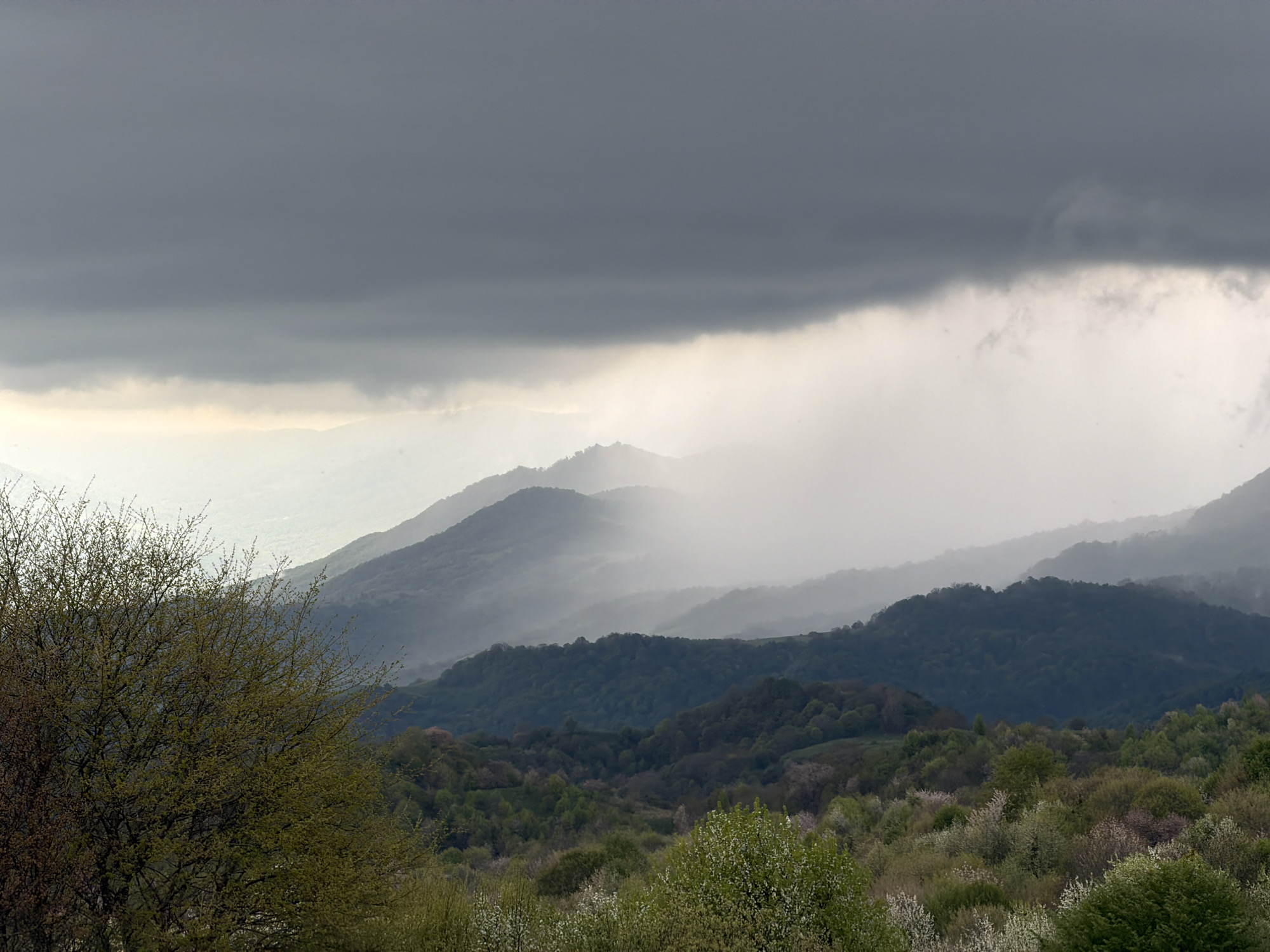 The image depicts a landscape of rolling hills and mountains under a stormy, overcast sky. Heavy gray clouds dominate the upper portion of the image, obscuring the peaks of the more distant mountains. The mountain ranges fade into each other with a misty, atmospheric quality. A layer of fog or rain partially obscures the mountains on the right side of the image. The foreground is filled with trees and vegetation, primarily in shades of green. Some of the trees in the foreground are beginning to blossom with white flowers. The location is Verona, Georgia, based on the prompt.