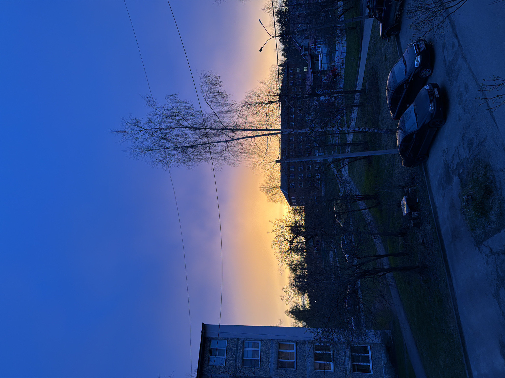 The image shows an urban scene in Reshetnikovo, Russia, at dusk. The sky transitions from deep blue to shades of orange and purple at the horizon. A multi-story building with visible windows is in the foreground. Above, bare trees silhouette against the colorful sky. Power lines stretch across the upper left portion of the frame. Further back, more buildings and a street lamp are visible. On the right, two dark-colored cars are parked along a street or parking area. The overall lighting is low, contributing to a dim and slightly somber atmosphere.