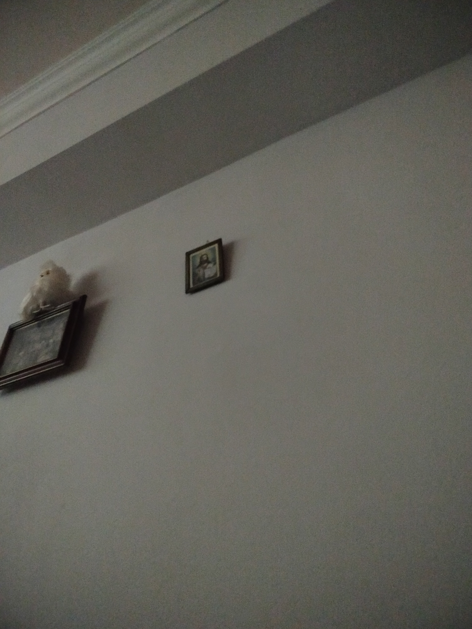 The image shows a section of a wall, likely indoors, in a room. The wall is painted in a light gray color. There is a white crown molding along the ceiling. Two framed pictures are hanging on the wall. On the left, a white, fluffy object resembling a stuffed animal is perched on the top of the frame. The other framed picture is smaller and positioned higher on the wall, featuring an image that appears to depict Jesus. The lighting is subdued, creating shadows, and the image is slightly angled, suggesting it was taken from a lower vantage point. There is no indication of this image being in Yerevan, Armenia.