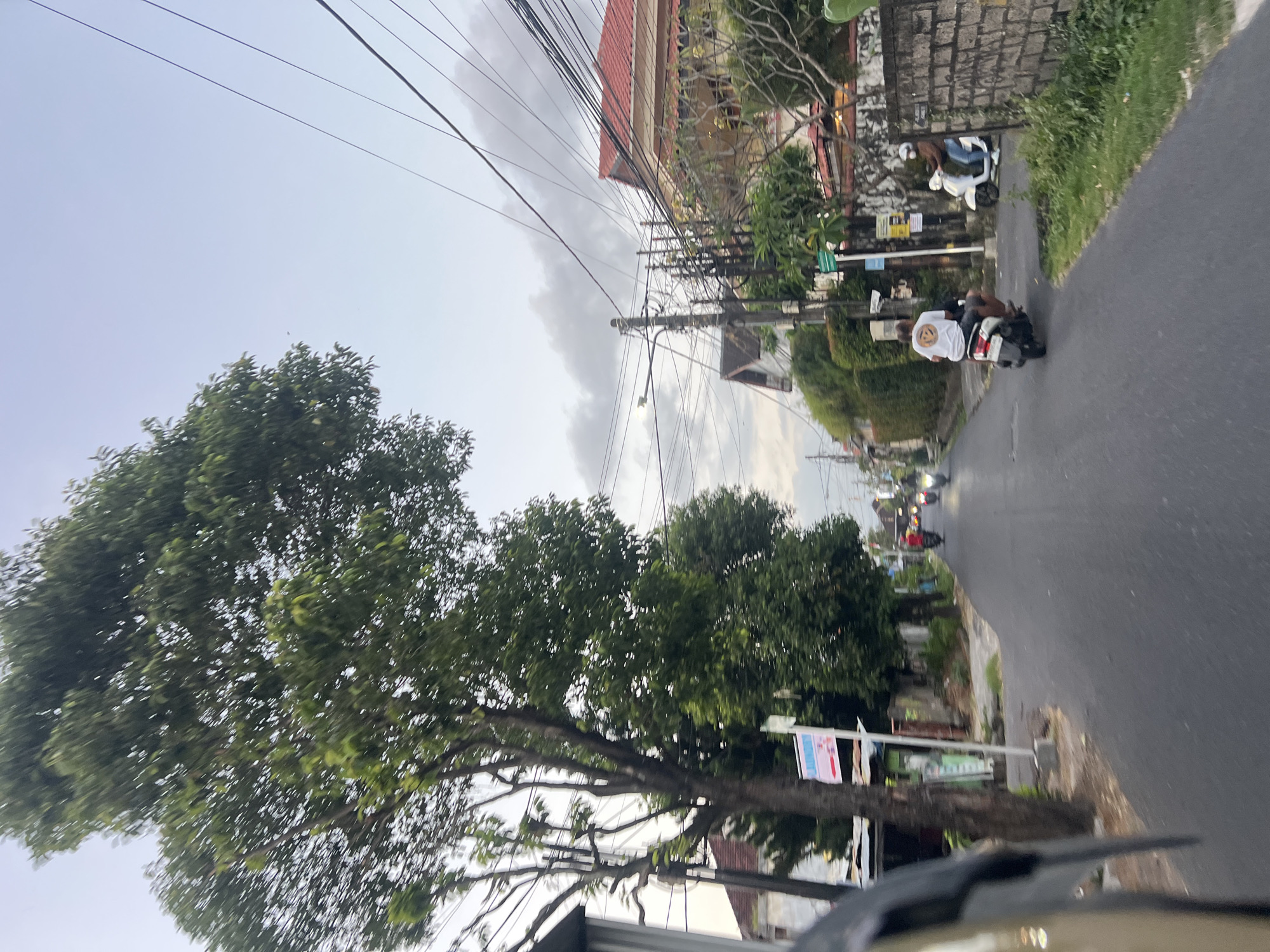 The image captures a street scene in Denpasar, Indonesia, likely during the late afternoon or early evening due to the soft light and slightly overcast sky. The perspective is from a moving vehicle, looking forward down a paved road.
On the left side of the road, a large tree with dense green foliage dominates the foreground. Behind the tree, a building with a white wall and a glimpse of a red roof is visible. A signpost with multiple signs, some featuring text and graphics, stands near the tree. The road itself is asphalt and appears to be a residential street.
Further down the road, several people are riding motorbikes. One motorbike in the mid-ground has a rider wearing a white t-shirt with a circular graphic. Another motorbike, further ahead, has a rider in a red shirt. To the right of the road, there are more residential buildings with red tiled roofs and stone walls. One building has a yellow facade. A dense hedge lines a portion of the right side of the road. Overhead, a complex network of electrical wires is strung between poles.
The overall impression is of a typical urban street in Denpasar, characterized by lush greenery, residential architecture, and the prevalent use of motorbikes for transportation. The sky is a pale blue with some scattered clouds.