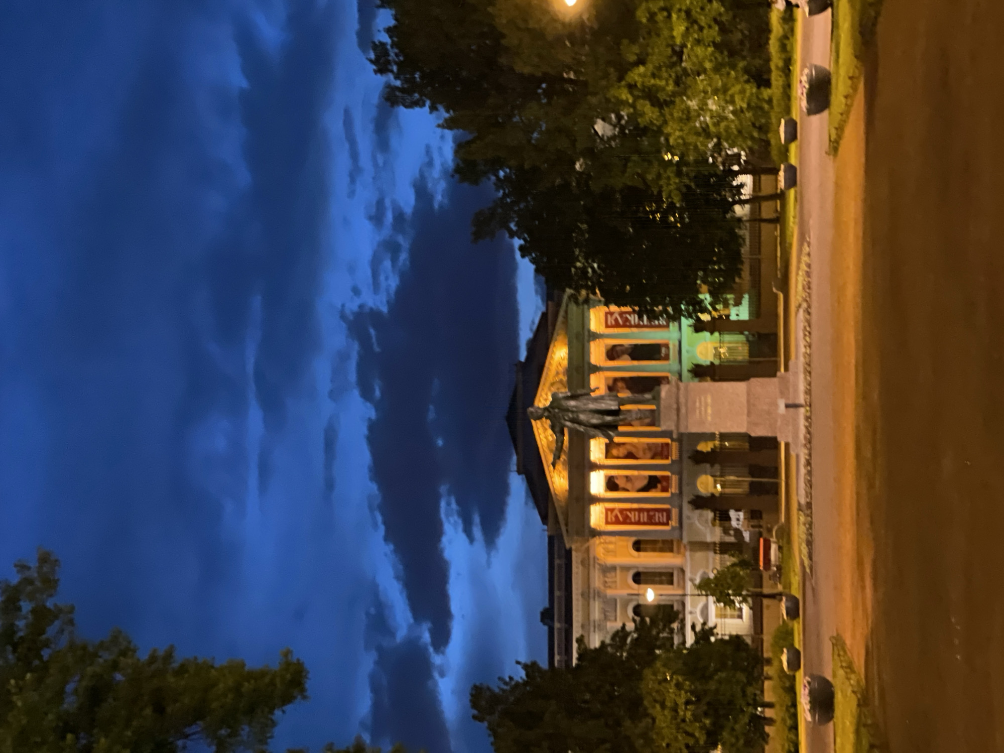 The image displays a grand architectural scene captured at dusk or night in Saint Petersburg, Russia. A large, classical-style building with columns is the central focus, its facade bathed in warm, golden artificial light. In front of this building, a prominent, dark-colored statue of a male figure stands on a pedestal.
The sky above is a deep, dark blue, filled with visible, softly illuminated clouds, indicating the evening hour. Lush green foliage from several trees frames the building, with some branches extending into the dark sky. A paved path or street runs along the right side of the frame, illuminated with an orange-brown glow from unseen streetlights. Dark, rounded objects, possibly planters or bollards, are spaced along the edge of this path. A bright streetlight is visible in the upper right.
On the illuminated facade of the building, several rectangular panels or banners are visible. One clearly displays Cyrillic text, reading "ВЫСТАВКИ" (VYSTAVKI), which translates to "EXHIBITIONS." Other panels higher up appear to feature portraits or artistic figures. The scene is devoid of people, conveying a tranquil and majestic atmosphere, highlighting the historical architecture under the evening sky. The image is presented rotated 90 degrees clockwise from its natural landscape orientation.