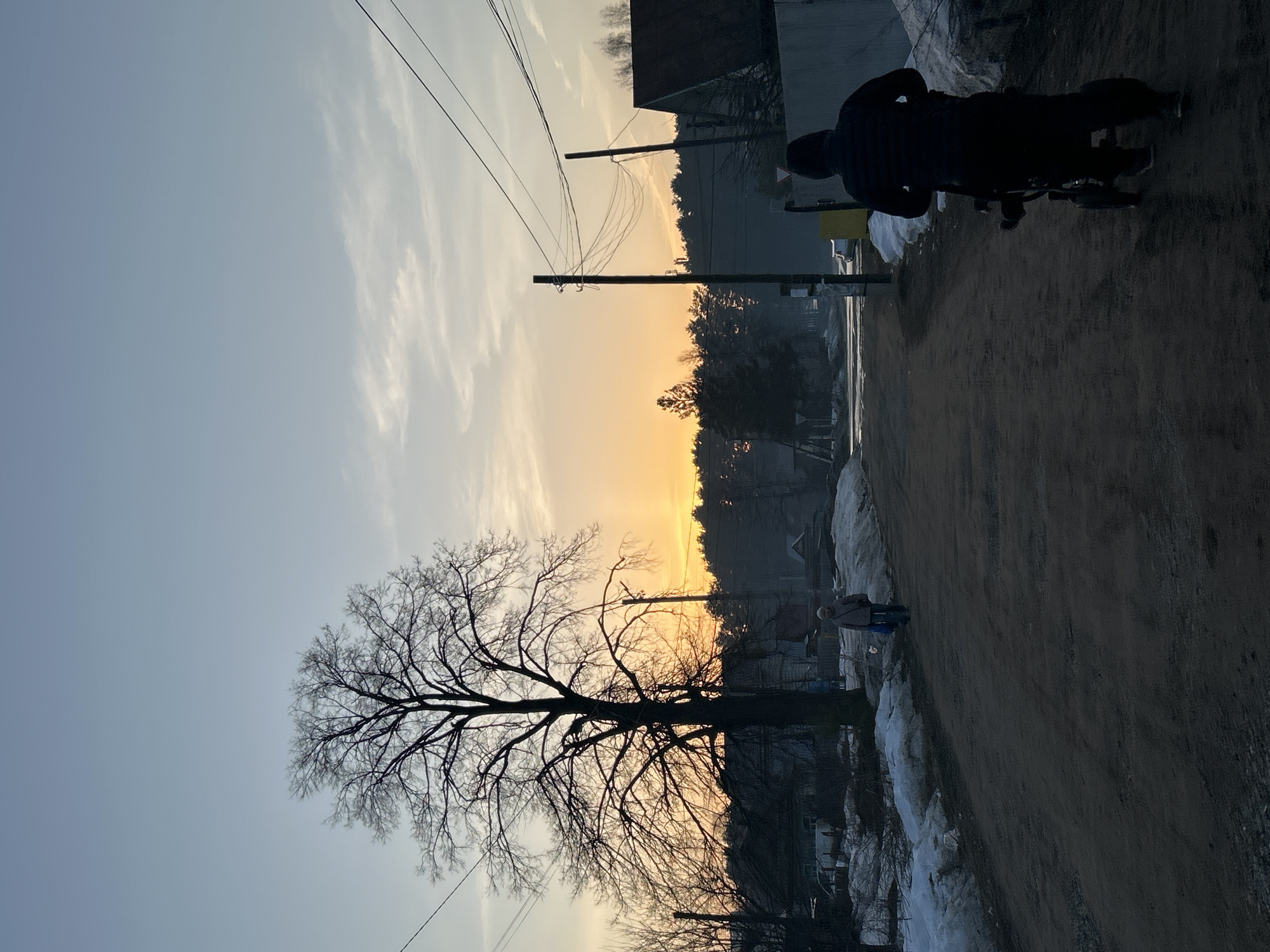 The image shows a street scene at sunrise or sunset, possibly in the city of Chaikovsky, Russia. The sky is a gradient from light blue to orange, with thin clouds. Power lines run across the upper left of the frame. A large, bare tree stands in the foreground. A dirt road runs along the right side of the image, with patches of snow on either side. Several buildings and trees are visible in the background. A person pushes a stroller along the road. Another person is walking on the road.
