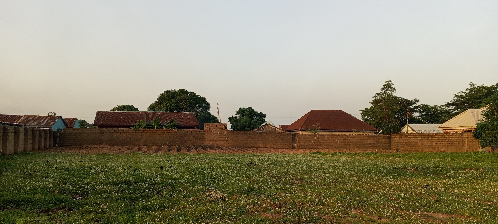 In Jalingo, Nigeria, a wide, open, grassy field is in the foreground. The field is dotted with small white flowers and a few dark birds are scattered across it. A low, rough, brown brick wall runs horizontally across the middle ground, separating the field from a section of tilled earth behind it. Beyond the wall, several structures are visible. On the left, a building with a corrugated metal roof and blue siding is partially visible behind a fence made of concrete blocks. To the right of that, a building with a dark, corrugated metal roof is prominent. Further to the right, a building with a distinctive red, hipped, corrugated metal roof is visible. The background consists of trees and a pale, overcast sky. The overall impression is of a residential area under construction or in a state of development.