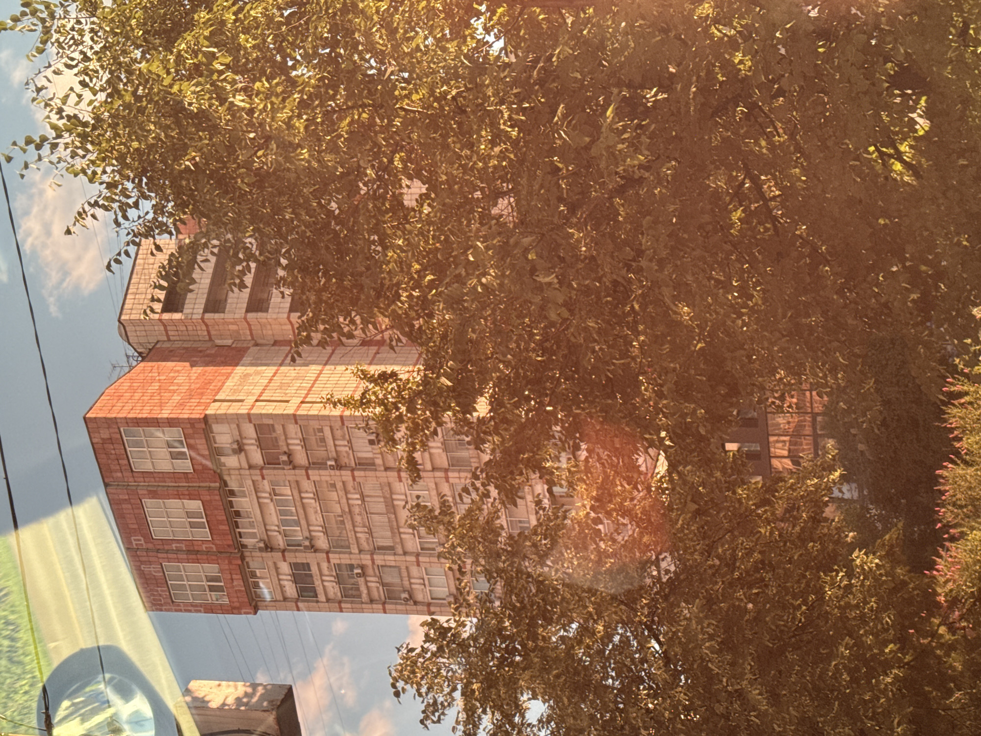 The media file captures a building and a tree, with a reflection in what appears to be a window. The building is tall and appears to be made of brick and concrete, with multiple stories and many windows. The tree is large and leafy, partially obscuring the building. Sunlight is visible, casting a warm glow and lens flares on the image, suggesting it's daytime. The sky is visible with some clouds. There are power lines in the foreground. The scene appears to be outdoors, with the building and tree in what could be an urban or suburban setting. The reflection in the foreground shows a car's dashboard and possibly a road. No people are visible. The overall impression is a bright, sunny day, possibly late afternoon due to the warm light. The location is suggested to be Perm, Russia.