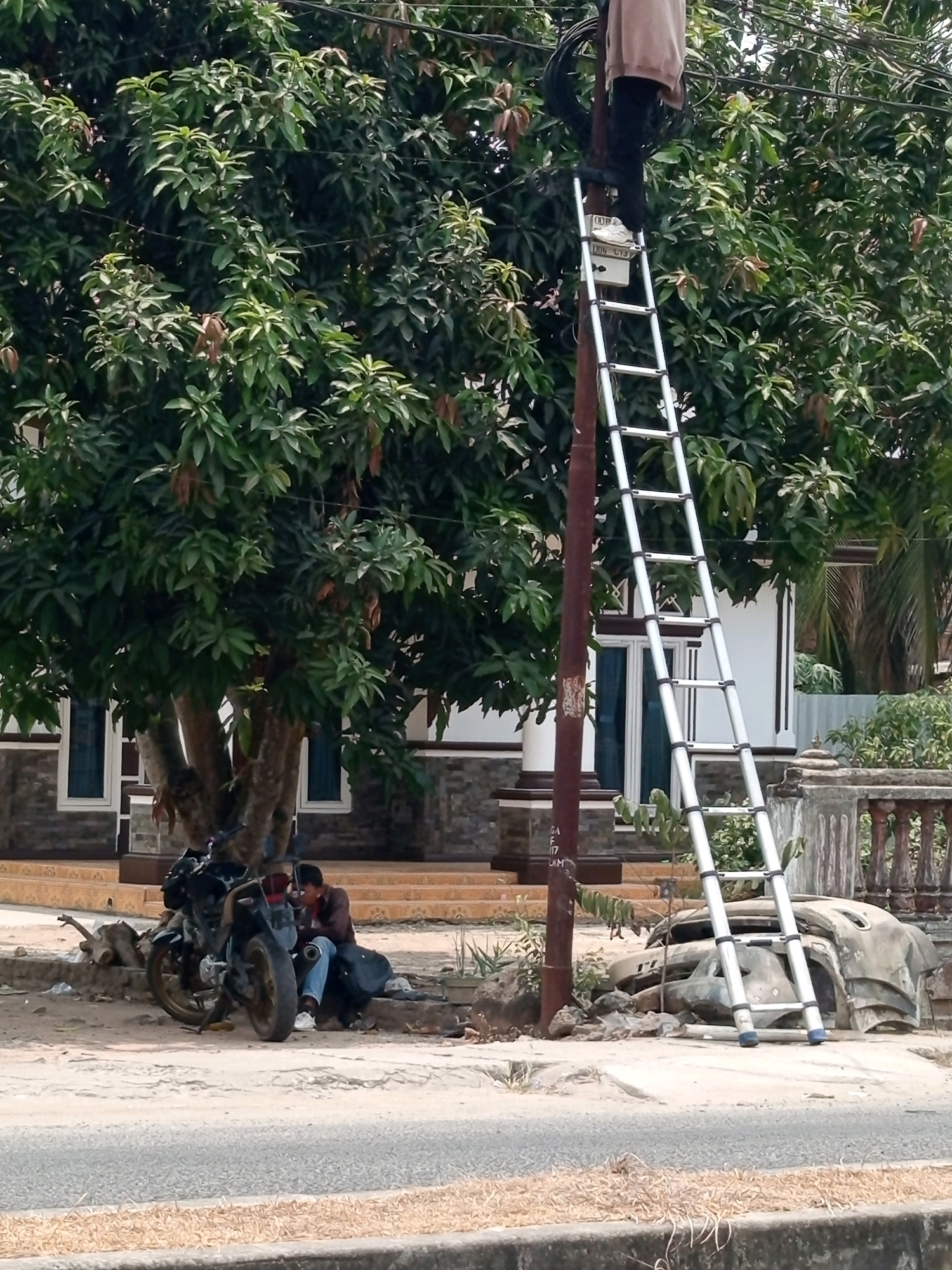 An overhead view shows a man standing on a ladder that leans against a utility pole. The ladder is silver and extends upwards, disappearing into the foliage of a large tree. The man is wearing dark pants and a light brown shirt. He is positioned at the top of the ladder, out of full view. The utility pole is dark brown and appears to be made of wood. Cables are visible wrapped around the pole and extending upwards, indicating it is an active electrical or telecommunications pole. The background includes a house with a grey stone facade and white windows, surrounded by lush green trees and foliage. To the left of the pole, a motorcycle is parked on the side of a dirt road. Two individuals are seated on the ground near the motorcycle, one appearing to be interacting with a phone. The overall environment suggests a residential area in Pulung Kencana, Indonesia, with the scene taking place outdoors under a bright sky.