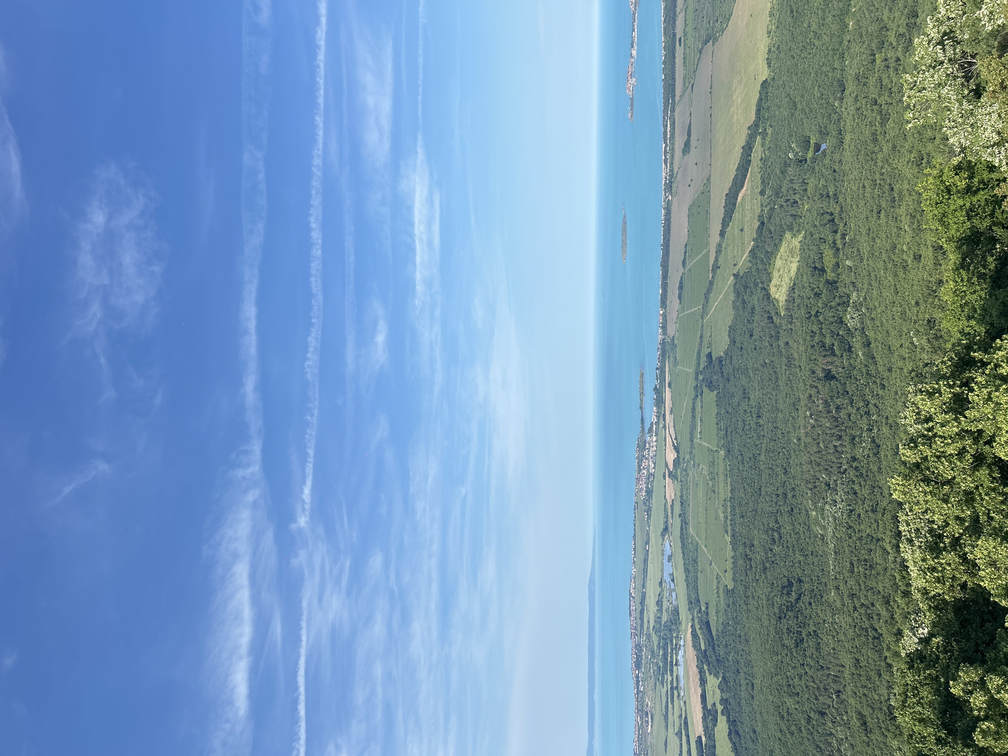 The image presents an elevated panoramic view of a coastal landscape under a bright blue sky with scattered wispy cirrus clouds and several parallel airplane contrails. The horizon features a light blue-turquoise sea stretching to a distant, hazy landmass on the left.
In the mid-ground, the sea contains two distinct landmasses: a smaller, elongated, vegetated island to the left, and a larger, densely developed peninsula on the right, which is the historic town of Sozopol, Bulgaria, characterized by numerous buildings. Along the coastline between these features and extending beyond them, there are clusters of buildings representing modern settlements, interspersed with extensive rectangular agricultural fields of varying shades of green and brown. Several small, irregular bodies of water (lakes or ponds) are visible in the flatter coastal plain.
The foreground and mid-ground land areas are dominated by a vast, dense forest of deciduous trees, presenting a rich green canopy. Within the forest, a small, dark, winding waterway or pond is discernable. The immediate lower edge of the image shows the sunlit tops of lighter green trees, some with visible white blossoms, indicating the elevated position of the viewpoint. No people, specific actions, or interactions are discernible.
