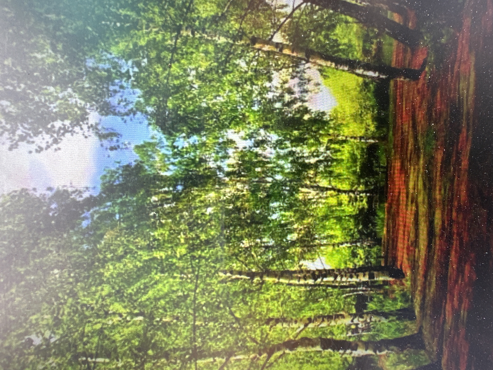 The image depicts a sun-dappled forest scene with numerous birch trees lining a reddish-brown path. The trees are tall and slender, with characteristic white bark and lush green foliage. Sunlight filters through the leaves, casting dappled shadows on the path. In the background, the forest continues, with a bright sky visible through the canopy. The scene is one of natural tranquility and appears to be a typical woodland environment. There are no people or animals visible in the image. The location is identified as Grigorevka, Kyrgyzstan, suggesting this is a natural area within or near that city.
