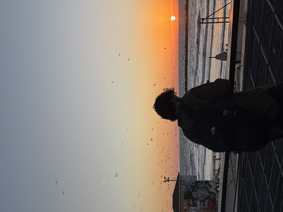 An outdoor scene captured at sunset over the Mediterranean Sea, likely a beach in Tel-Aviv, Israel. A solitary individual, viewed from behind, stands on a dark-colored boardwalk or elevated platform in the foreground, slightly right of center. The person has dark, curly hair, wears a dark shirt or jacket, and a black "The North Face" backpack. Both hands are holding and looking down at a smartphone.
To the far left, a white single-story structure, possibly a lifeguard station, features a red square with the number "6" and graffiti depicting a stylized face. A large flock of birds, predominantly seagulls, are in flight across the sky, particularly concentrated in the middle ground above the sea.
The sky transitions from a pale blue at the top to a vivid orange and red gradient near the horizon, where the sun is visible as a bright orange disc. A faint crescent moon is discernible in the upper left quadrant of the sky. The sea exhibits visible waves, with dark breakwaters extending from the shore in the mid-distance. A metal railing separates the boardwalk from the sandy beach below. Partially visible beach furniture, including a folded umbrella and a metal shower structure, are present on the sand to the right.