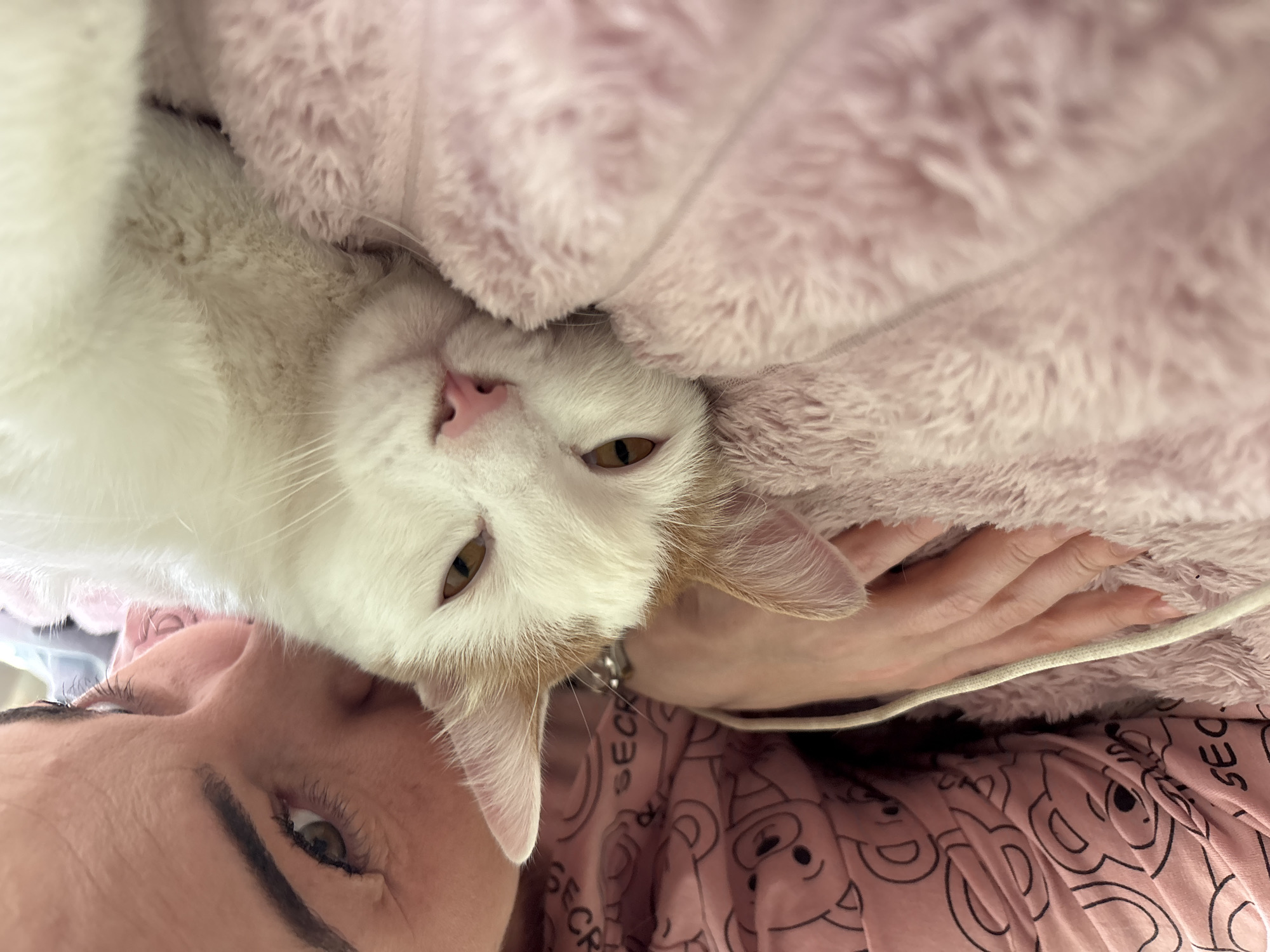 The image shows a close-up, upside-down view of a person and a cat snuggled together under a pink, fuzzy blanket. The person's face is partially visible in the lower left of the frame, with their eye looking towards the camera. The cat, predominantly white with patches of orange fur on its head and ears, is nestled into the blanket, with its head resting near the person's. The cat's eyes are open, and it appears to be looking directly at the camera. Its nose is pink, and its whiskers are visible. The overall mood of the image is intimate and cozy, suggesting a moment of comfort and affection between the person and the pet. The pink blanket dominates the upper portion of the image, providing a soft and warm visual texture. The person is wearing a pink garment with a repeating pattern of what appear to be cartoonish faces or figures and the word "SEC" in a circular design, possibly indicating sleepwear. The lighting suggests an indoor setting, likely during the daytime or evening, without any specific clues about the weather or time of day. The scene is one of domestic tranquility.
