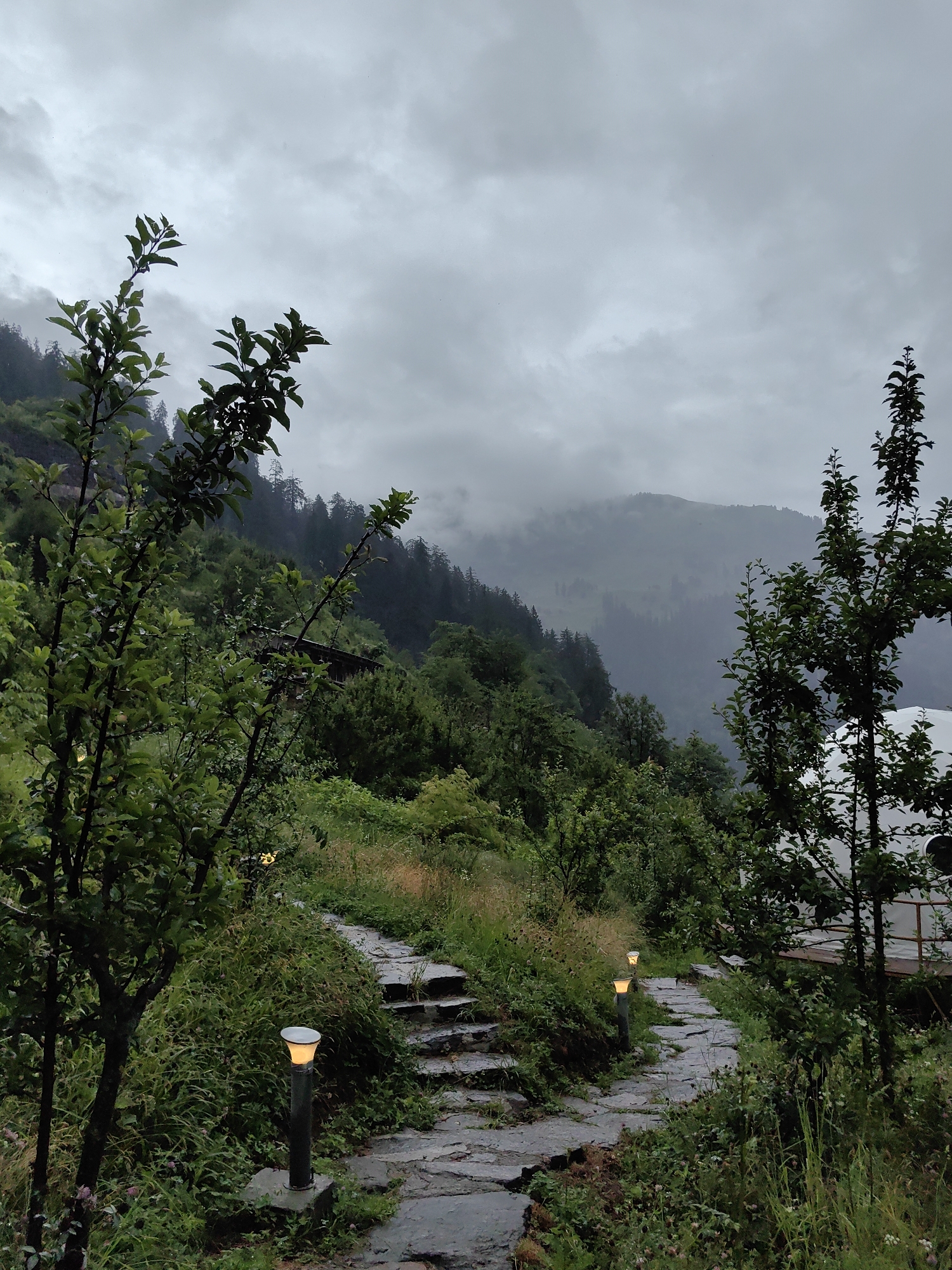The image depicts a pathway in Prini, India, leading through lush greenery. The pathway is paved with rough-hewn stones and is illuminated by two small, modern-style lanterns on either side. The terrain slopes upwards, with dense foliage consisting of trees and bushes lining the path. In the background, a mountainous landscape is visible, shrouded in mist and overcast skies, suggesting a cool, possibly damp, atmosphere. A small wooden structure is partially visible nestled amongst the trees on the left side of the path, and a white structure with a circular element is visible on the right. The scene is natural and somewhat secluded, with a focus on the organic elements of the environment and the man-made path.