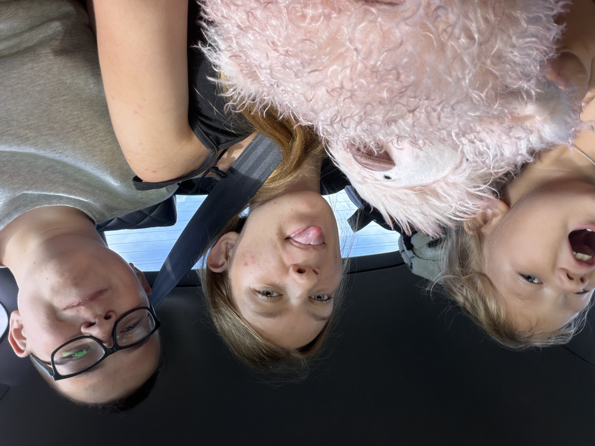 Three people are in the back seat of a car, likely on a road trip. The person on the right is a young person with glasses wearing a grey t-shirt, looking at the camera. In the middle is a young woman with blonde hair sticking out her tongue. On the left is a young child with blonde hair, mouth open as if to speak or shout. The child is holding a large pink fluffy stuffed animal. The background shows the interior of the car with the dark headliner and a blurred view of the sky through the rear window. The scene is likely taking place in a car in a suburban or rural area, rather than within the city of Новое Маврино, Russia.