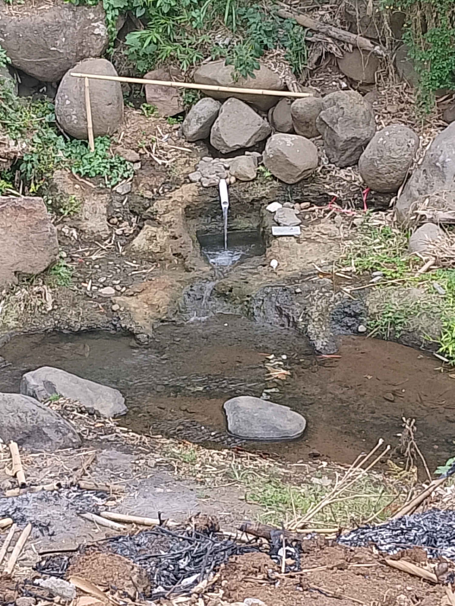The image depicts a natural water source in Jember, Indonesia. A small stream flows from a rocky area, forming a pool in the foreground. The surrounding environment is lush with vegetation and scattered rocks of various sizes. Bamboo poles are visible, one placed horizontally over a large rock and another vertically supporting it. There are also remnants of a small fire in the lower part of the image, with burnt wood and ash. The scene appears to be a rustic, natural setting, possibly a local spring or a small waterfall.