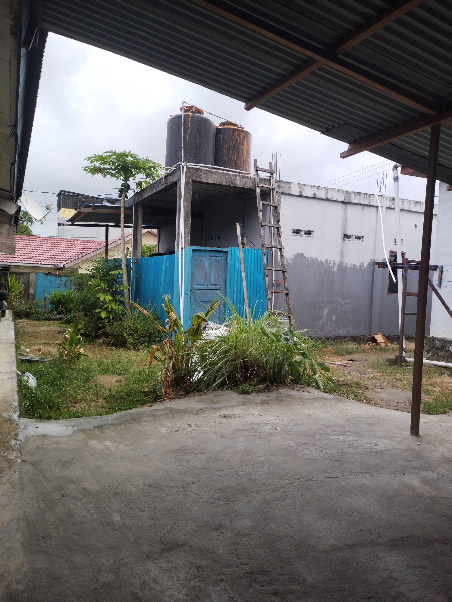 The image shows an outdoor scene, possibly in a residential area, with elements suggesting ongoing construction or renovation. In the foreground, there is a concrete ground, wet in some areas. To the left, a portion of a building's exterior wall and a corrugated metal roof are visible.
The middle ground features a small yard with overgrown vegetation, a blue corrugated metal fence, and a wooden door. Behind the fence, a two-story structure is visible. The ground floor appears to be under construction, with exposed concrete. The upper floor has two large black water tanks and a wooden ladder leaning against the side. A small papaya tree with green fruit is also present. A satellite dish is mounted on a building in the background.
Further in the background, there is a white building with gray painted sections and small windows. Some construction materials, including a wooden pallet, are scattered on the ground. The sky is overcast, suggesting a cloudy day. The scene could be located in the city of Manokwari Barat, Indonesia, given the architectural style and vegetation. There are no people visible in the image.