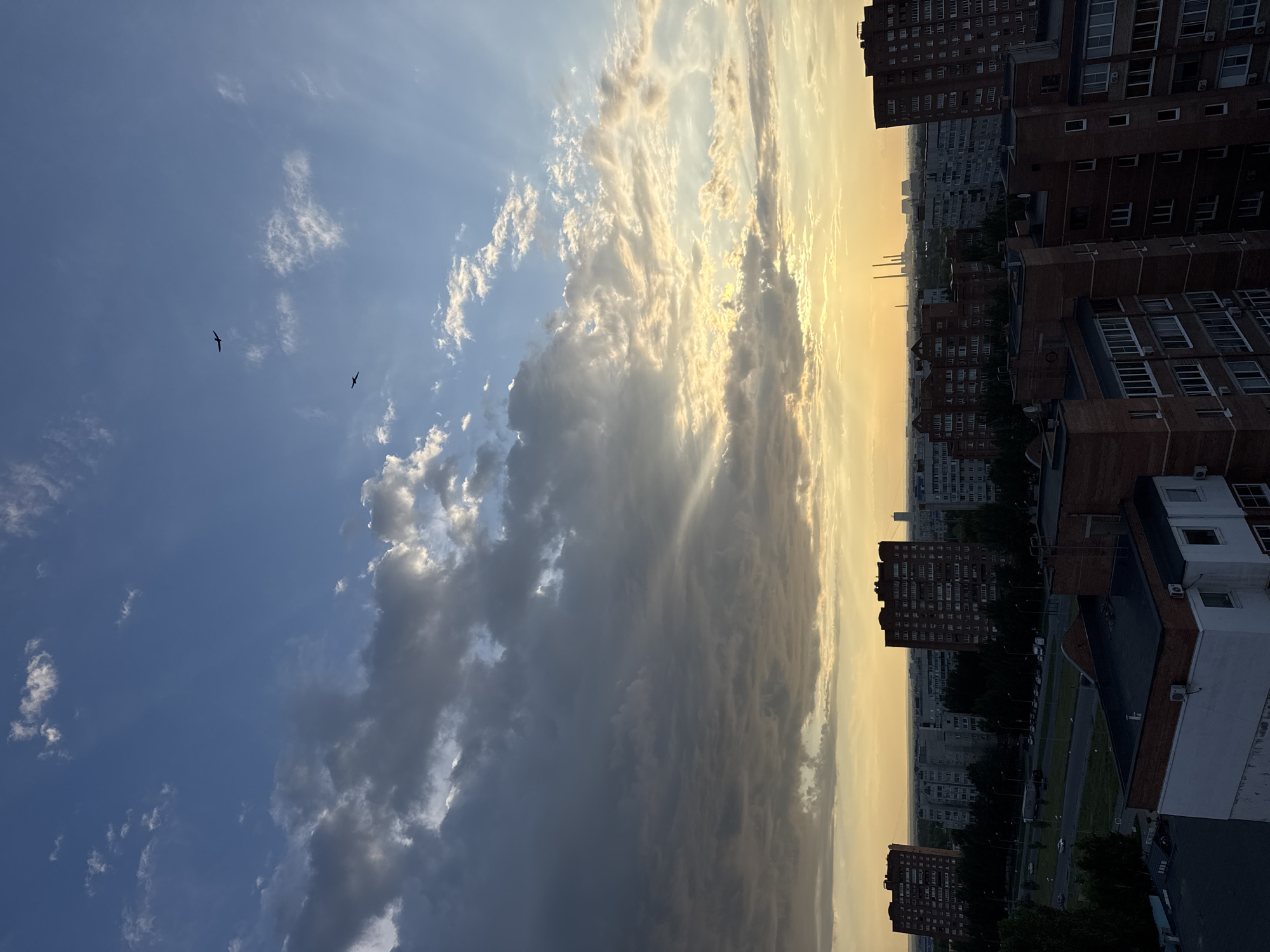 The image captures a city skyline at dusk. The sky is a gradient of blues and oranges, with scattered clouds. Two birds are silhouetted against the sky. In the foreground, several multi-story apartment buildings are visible, some with brick facades and balconies. Beyond them, a street with cars and trees can be seen. In the distance, a power plant with tall chimneys is silhouetted against the horizon. The overall impression is one of urban life against a dramatic natural backdrop.
