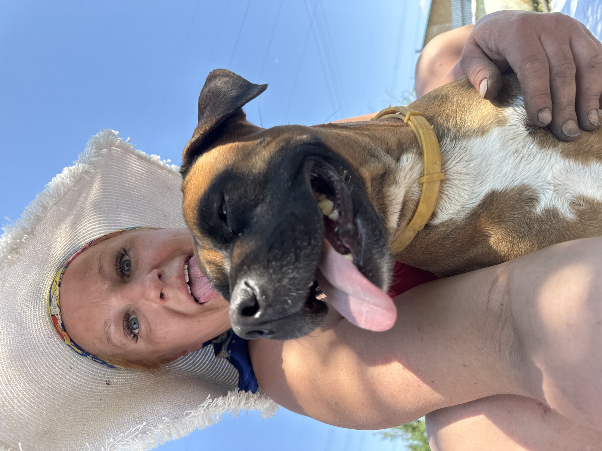 A person wearing a white hat with a patterned headband and a blue scarf is holding a brown and white Boxer dog with a yellow collar. Both the person and the dog are sticking out their tongues. The person's right hand is also visible and appears to be dirty. The background consists of a blue sky, power lines, and a partially visible building. The location is in the city of Chaikovsky, Russia.