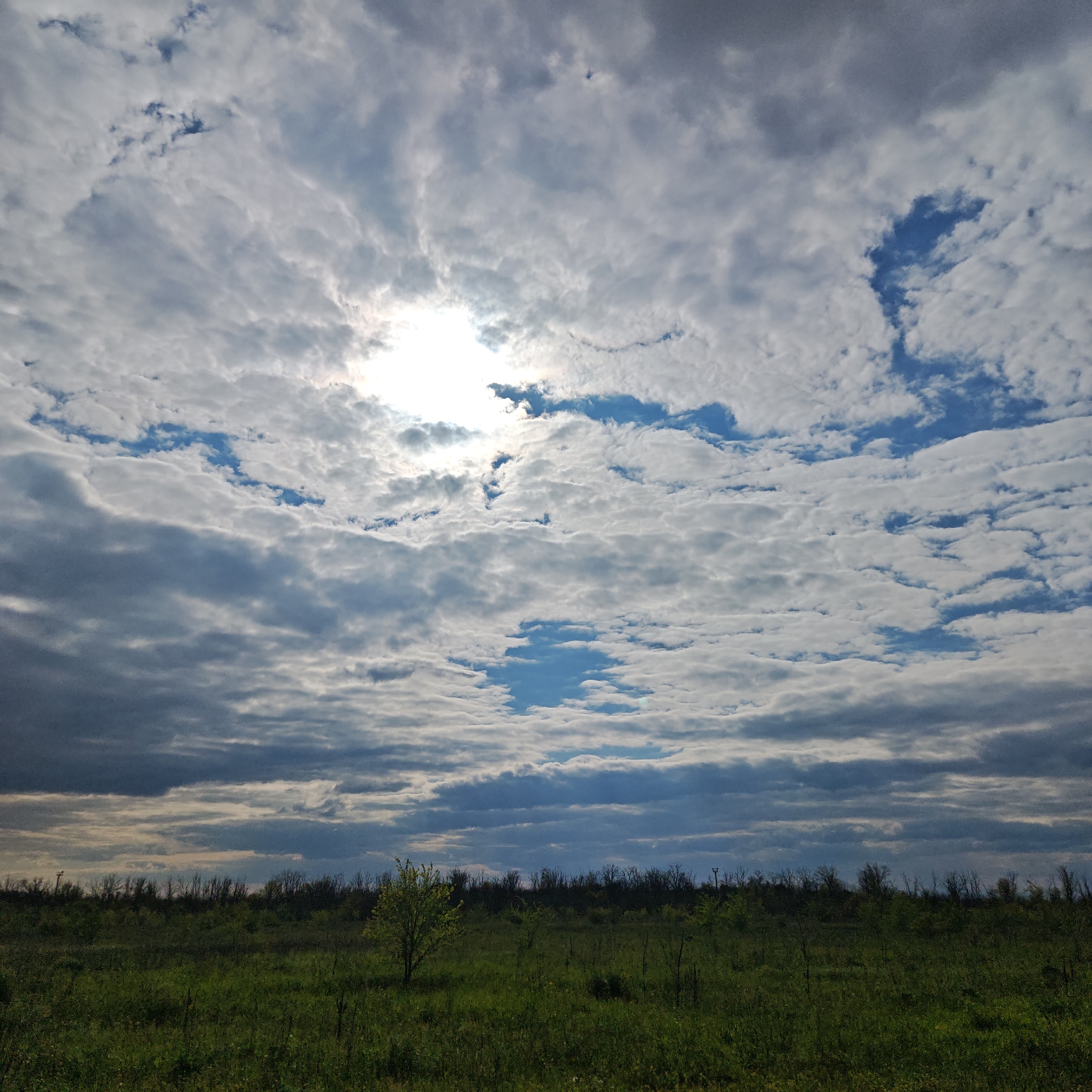 The image depicts a rural landscape in Taganrog City District, Russia. A green meadow dominates the foreground, with sparse vegetation and a few small trees. In the middle ground, a line of trees and bushes forms a horizon. The sky is overcast with a mix of dark and light clouds, with the sun partially obscured by the cloud cover. The overall atmosphere is somewhat gloomy. There are no people visible in the image.