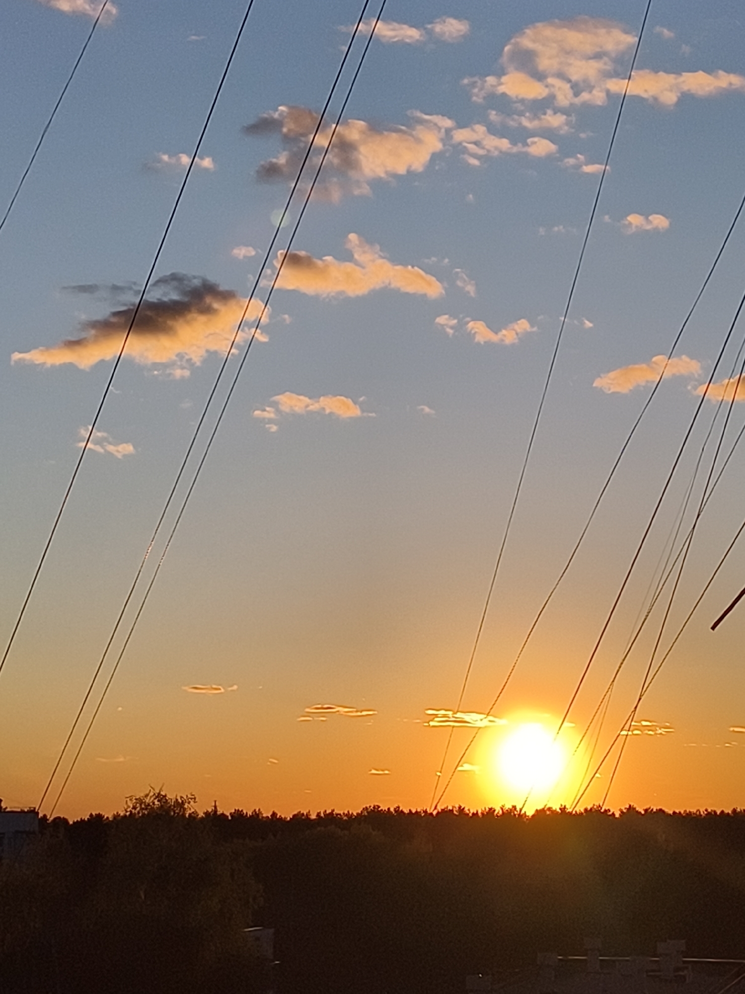 The image depicts a sunset over an area with trees and some buildings, possibly on the edge of the city of Unknown, Unknown. There are utility lines crossing the sky. The sky is blue with clouds at the top and transitions to orange near the horizon where the sun is setting. The area below the horizon is obscured by trees and some building tops. The sun is bright and mostly obscured by the trees.