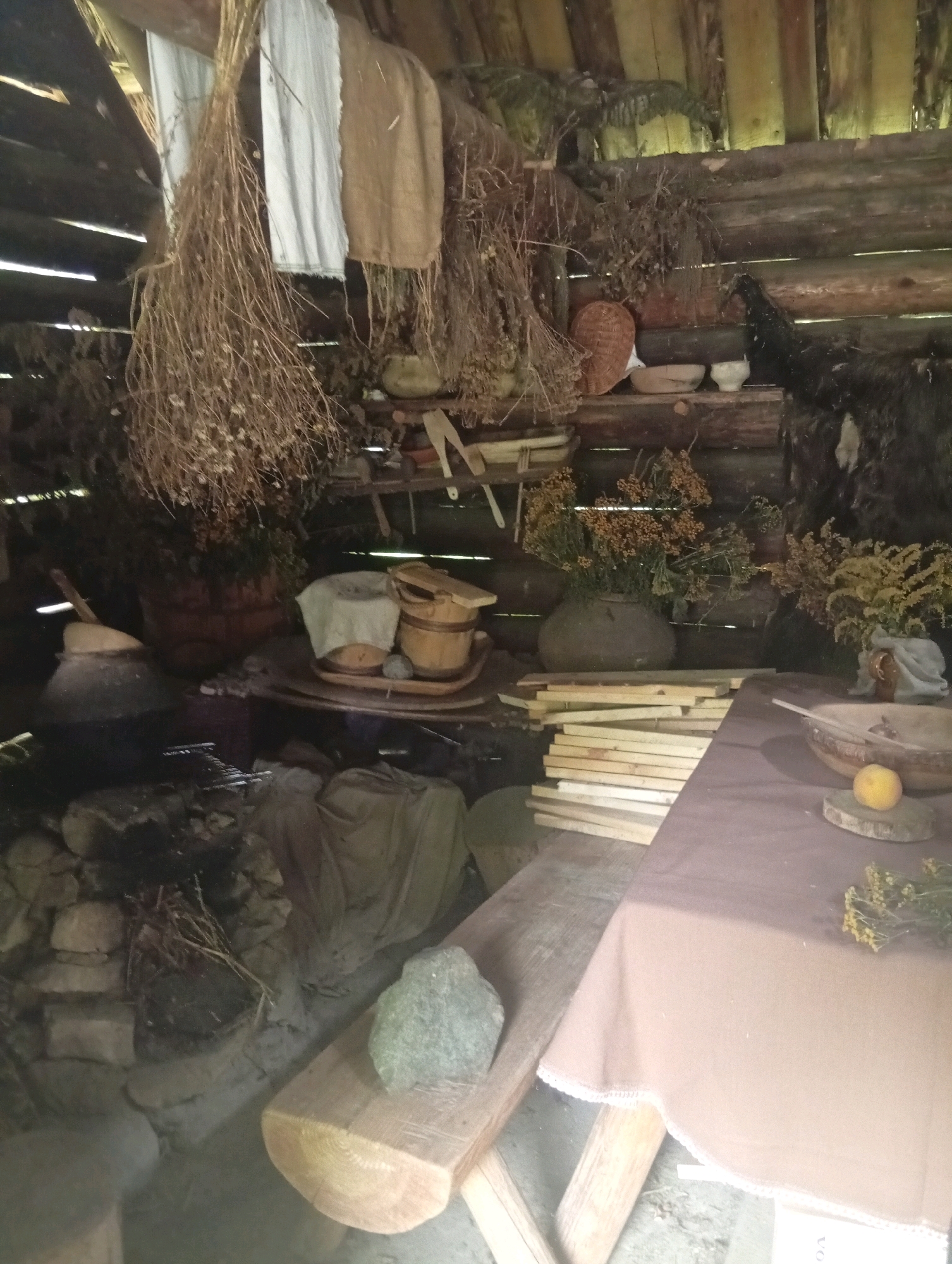 The image shows the interior of a rustic, wooden structure, possibly a historical exhibit or dwelling. The walls and ceiling are constructed from rough-hewn logs and planks. Bunches of dried herbs and grasses hang from the ceiling and walls, suggesting a traditional or medicinal purpose for the space. Various wooden vessels, including bowls and buckets, are visible on shelves and surfaces. In the foreground, a table is covered with a brown cloth, adorned with a wooden bowl, a small orange fruit, and sprigs of dried herbs. Stacked wooden planks are also present in the scene. The overall impression is one of a historical, perhaps agrarian, setting. This location is the ethnographic museum in Będkowice, Poland, which reconstructs the life of a Kashubian village.