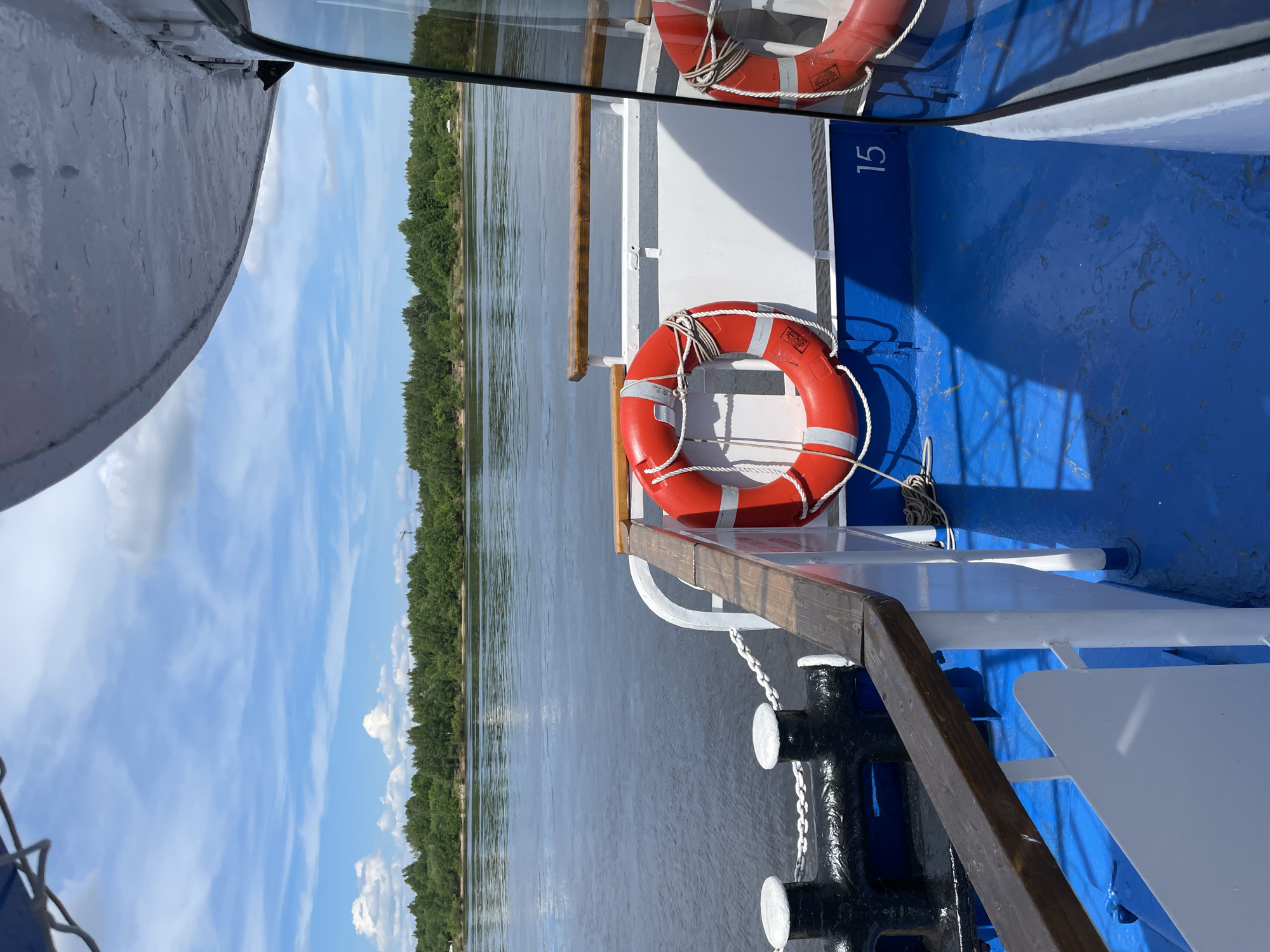 The image captures a sunny daytime view from the side of a boat or ship, likely cruising on a wide river in Perm, Russia. The perspective is looking out over the water towards a distant, heavily forested riverbank under a bright blue sky with scattered white clouds.
In the foreground, elements of the boat are visible. The deck is painted a vibrant blue, contrasting with white railings and superstructure. Two prominent, orange-red lifebuoys, each equipped with white reflective tape and coiled white rope, are securely mounted along the railing. On the blue side of the boat, the white number "15" is clearly visible. A wooden handrail extends along the deck, and black mooring bollards with white tops, connected by chains, are also part of the boat's fittings. Reflections of the sky and surroundings are visible on a glass panel or window on the boat's upper structure.
The river's surface shows subtle ripples, suggesting movement or a gentle breeze. The opposite bank is lined with a dense growth of green trees, extending horizontally across the mid-ground. The weather is clear and bright, indicated by the strong sunlight and the shadows cast on the boat's deck. No people are visible, and the scene conveys a sense of peaceful travel or leisure on the water.