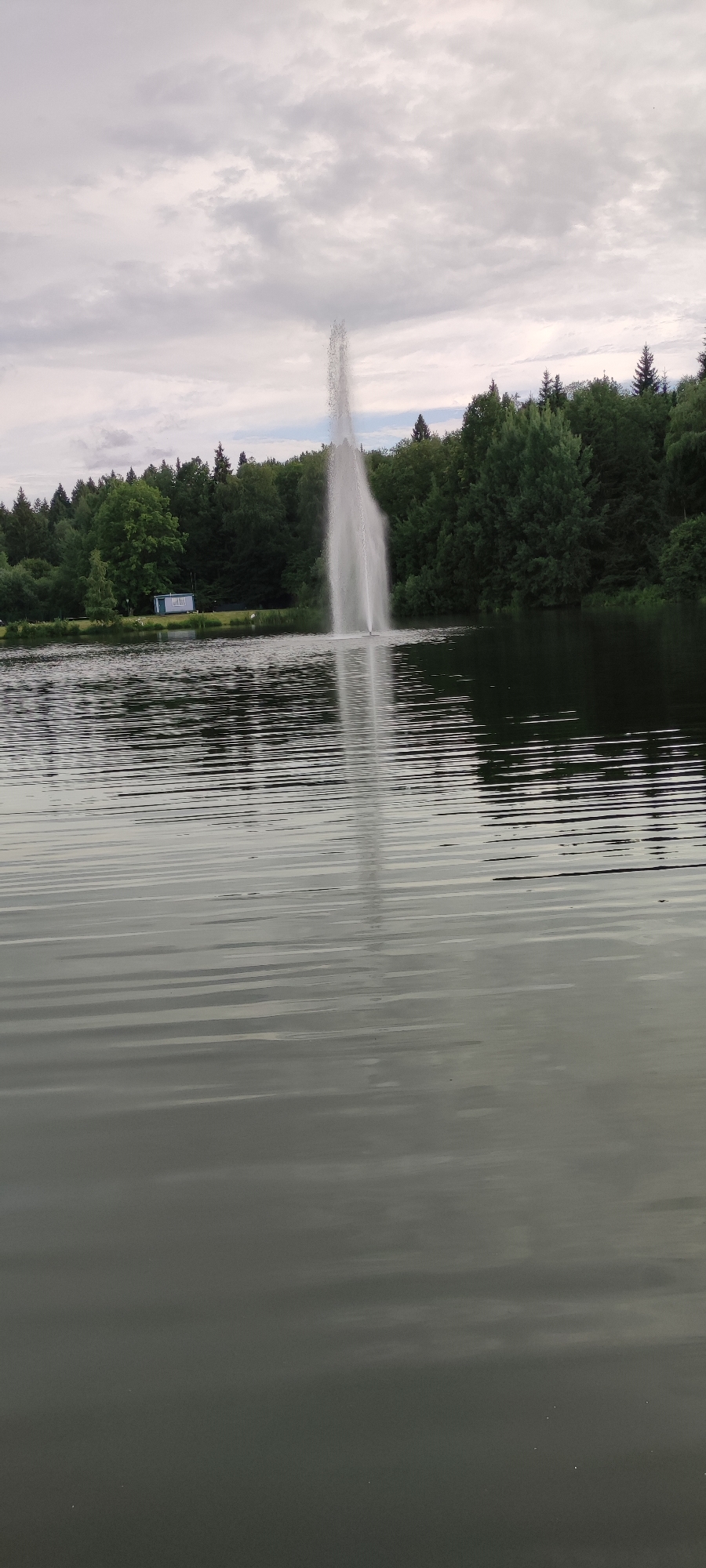 The image shows a fountain spraying water high into the air in the middle of a dark lake. The lake's surface is rippled, reflecting the cloudy sky above. In the background, a dense forest of green trees lines the shore. A small, light-colored building with a blue roof is visible on the grassy bank near the trees, to the left of the fountain. The scene suggests an outdoor recreational area, possibly a park or a nature reserve, within the city of Rosinka, Russia. There are no people or animals visible in the image.