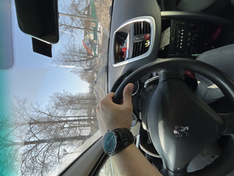 The scene is depicted from the interior of a Peugeot vehicle, specifically from the driver's perspective, looking forward through the windshield on a clear, sunny day in Maksimkovo, Russia. The driver's left hand, adorned with a large black-strapped wristwatch featuring a dark face and light green markers, is positioned on the black steering wheel. The dashboard presents an air vent system, a top-mounted console containing a prominent red object and other minor items, and below, the vehicle's integrated audio/climate controls with a paper slip inserted. A small, yellow, winged figurine is affixed to the right central air vent. The upper right portion of the windshield reveals a rearview mirror and a windshield-mounted device bracket. Outside the vehicle, a two-lane asphalt road extends into the distance under a clear, bright blue sky. Both sides of the road are lined with numerous tall, leafless deciduous trees. Accumulations of dirty snow are visible along the road shoulders. On the right side of the roadway, a white residential structure with a red roof is situated behind a blue-roofed shelter, consistent with a bus stop. Utility poles with overhead wires are present on the right. Distant vehicles are discernible on the road ahead.