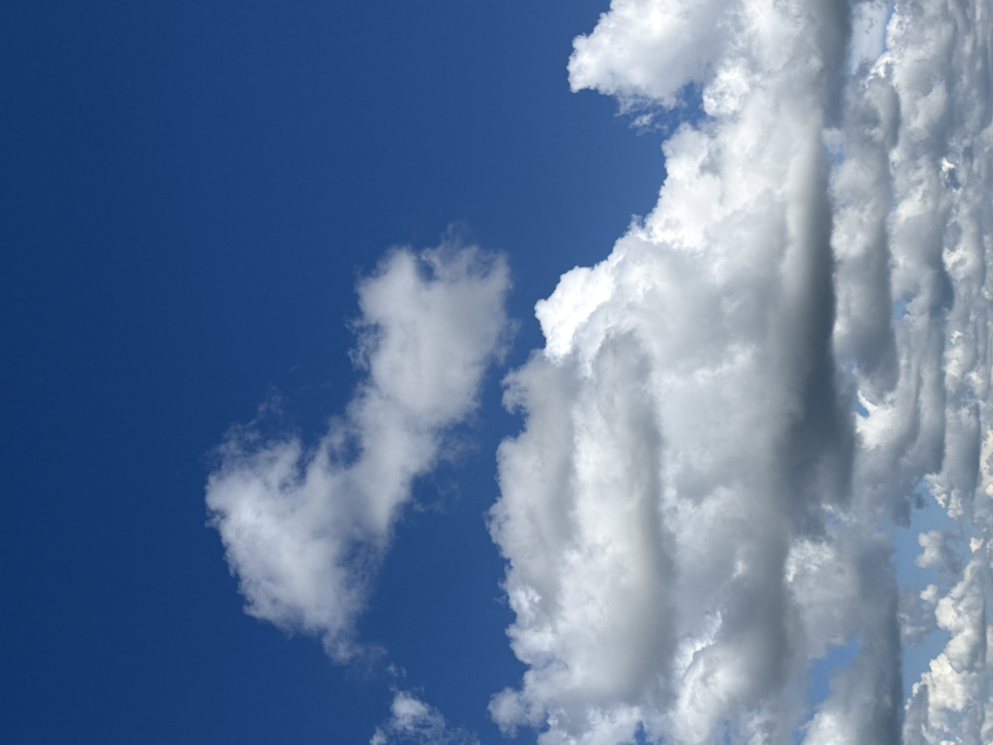 A vertical, full-frame, outdoor shot captures a vast expanse of a bright blue sky filled with various clouds, ranging from wispy white formations high up to dense, layered grey clouds closer to the horizon. The clouds occupy the majority of the frame, with the purest blue sky visible in the upper left quadrant. The lighting suggests it is daytime, with the sun illuminating the clouds from above, creating bright whites and subtle shadows that give them a sense of depth and texture. There are no visible man-made structures, landforms, or people in the image.