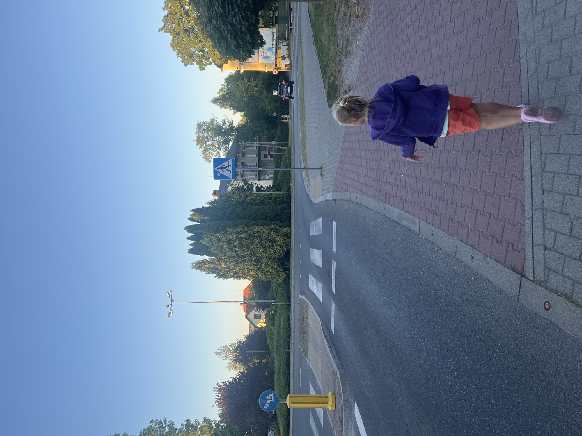 A rear view of a young girl with blonde hair in a ponytail, wearing a purple hooded jacket, orange shorts, and pink shoes, walks away from the camera on a brick sidewalk. The sidewalk is next to a road with a crosswalk. In the background, there are trees, buildings, a street lamp, and a pedestrian crossing sign. The sky is clear and blue.