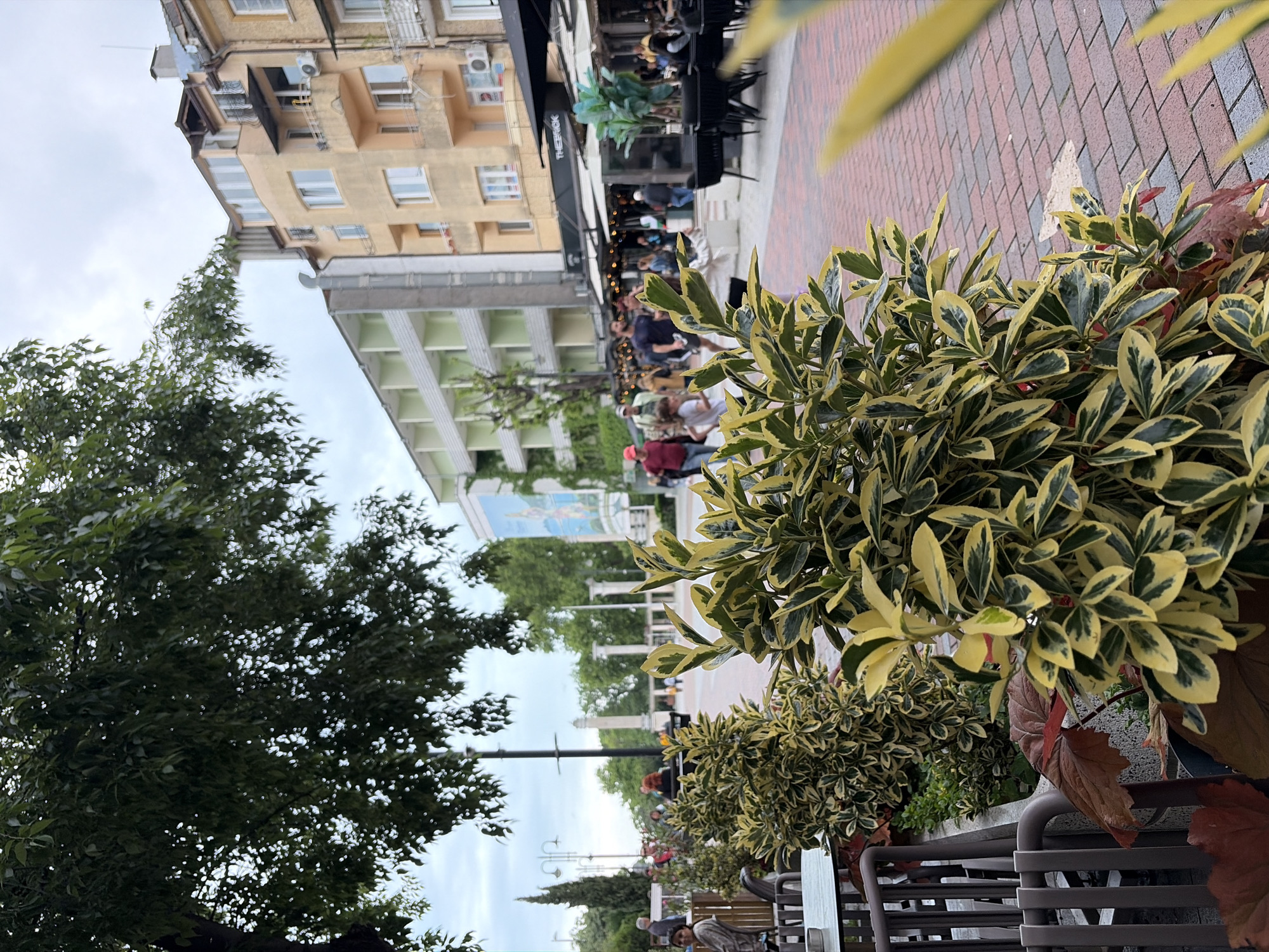 The image captures a street scene in Varna, Bulgaria. The foreground features planters with variegated yellow and green foliage, partially obscuring a row of café tables and chairs. In the midground, a brick pedestrian walkway stretches into the distance, lined with various buildings, including one with multiple stories and light-colored walls. People are visible strolling along the walkway and seated at outdoor café tables under awnings. A large tree with dense green foliage is visible to the left, contrasting with the buildings and sky. Further back, a mural is visible against a building, suggesting a public art display. The overall impression is of a lively urban environment in Varna.