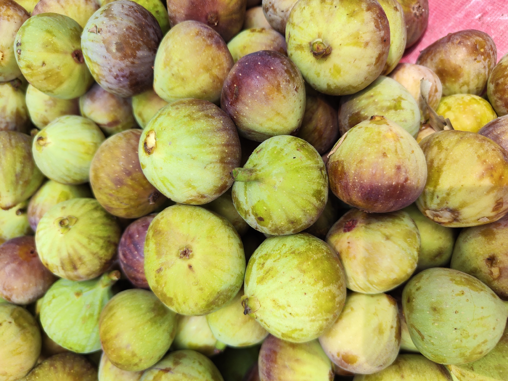 A high-angle, close-up shot shows a pile of green and purple figs. The figs are clustered together, occupying most of the frame. Some are predominantly green with yellow tints, while others have a reddish-purple hue mixed with the green. The figs appear fresh and have varying textures on their skin. The background is obscured by the dense arrangement of the figs. The location is Unknown, Unknown.